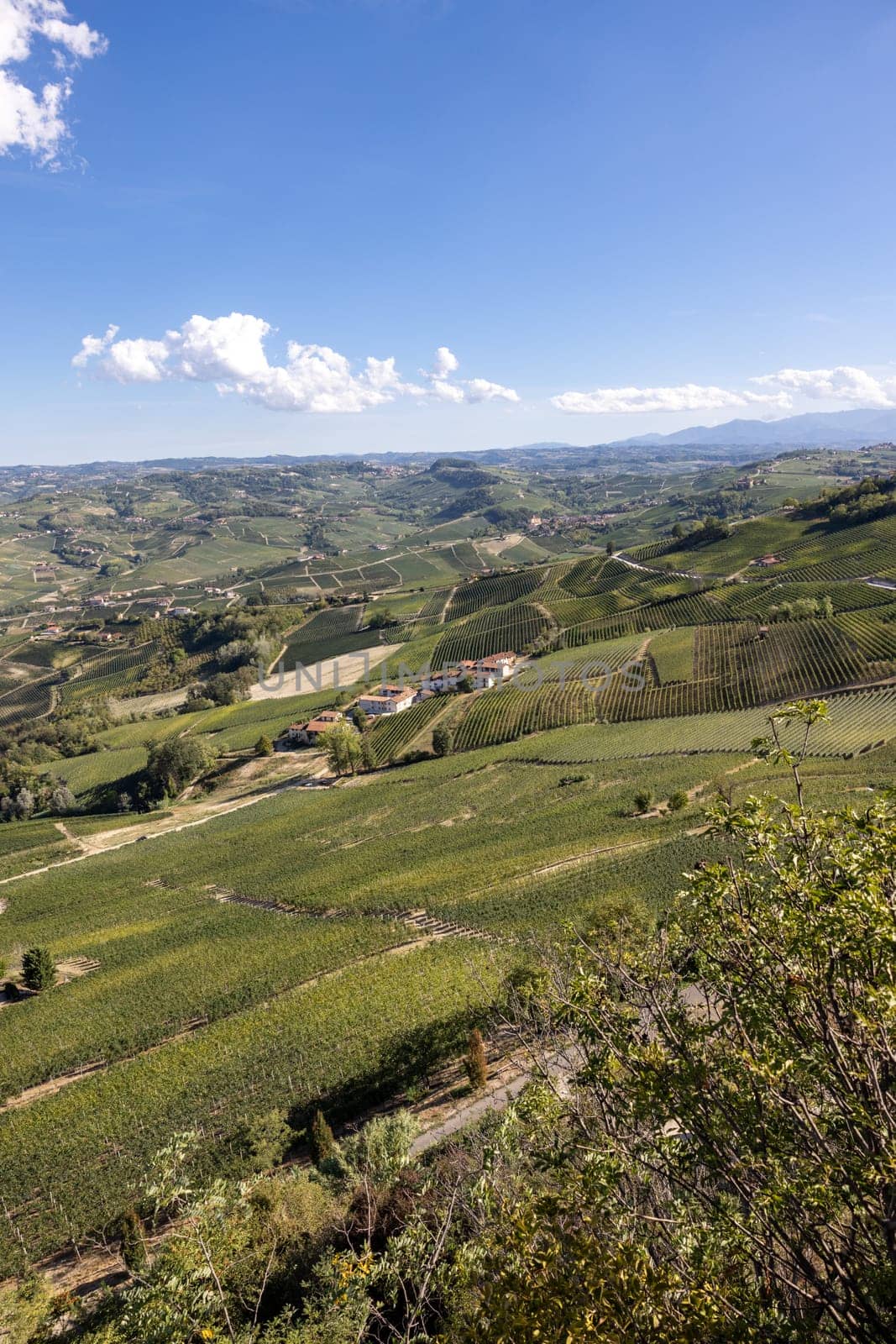 View of Langhe vineyards from La Morra,  UNESCO Site, Piedmont, Italy