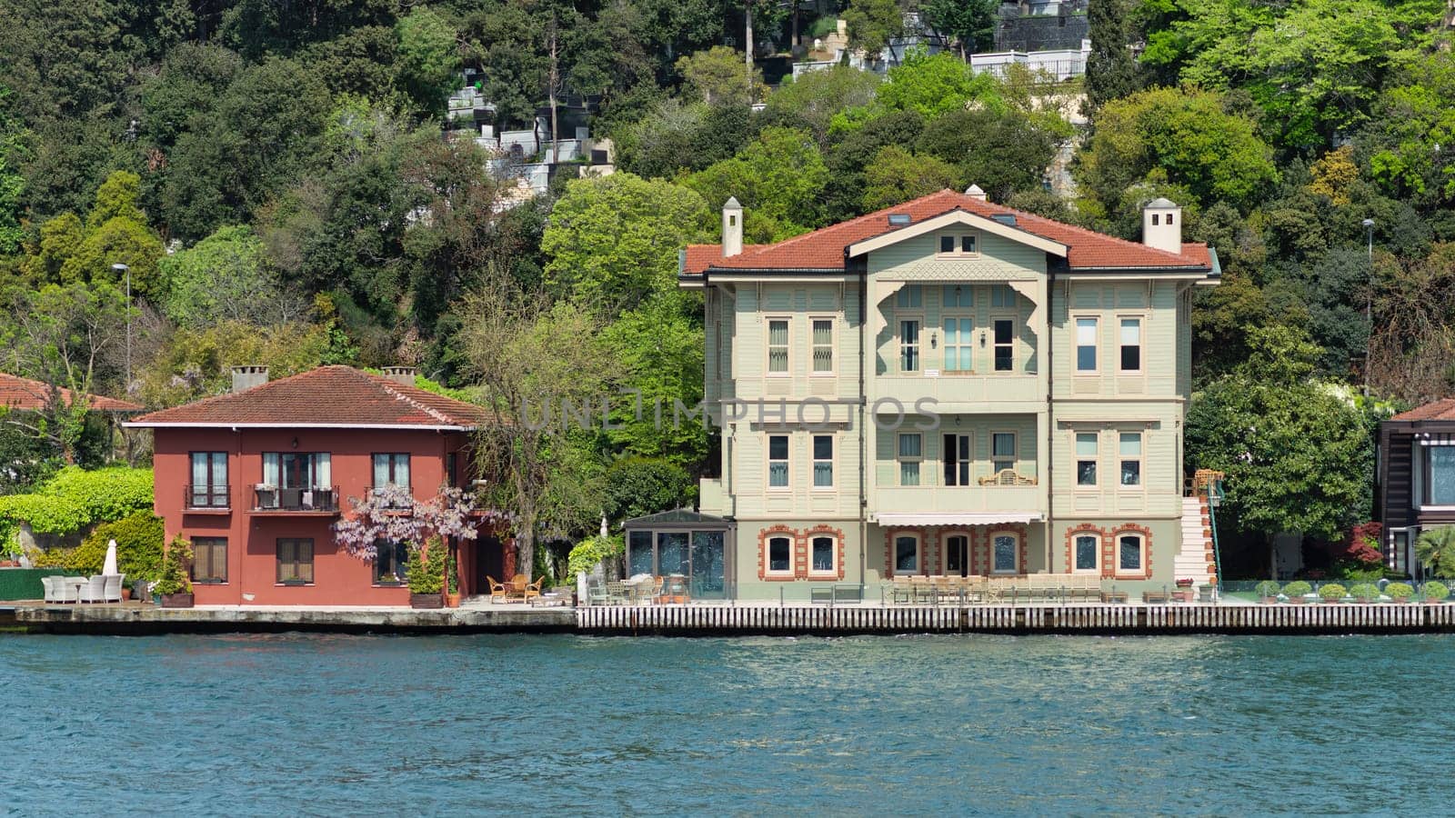 Traditional houses on a green hill by Bosphorus in Istanbul, Turkey, The trees in the foreground are lush and green