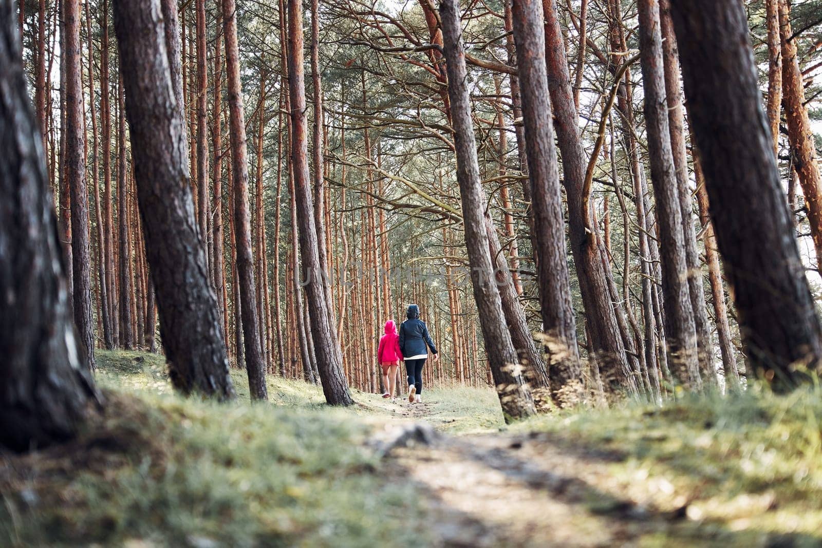Summer vacation trip close to nature. Family walking in forest. People actively spending leisure time. Back view of woman with daughter enjoying long walk during summertime. Travel concept