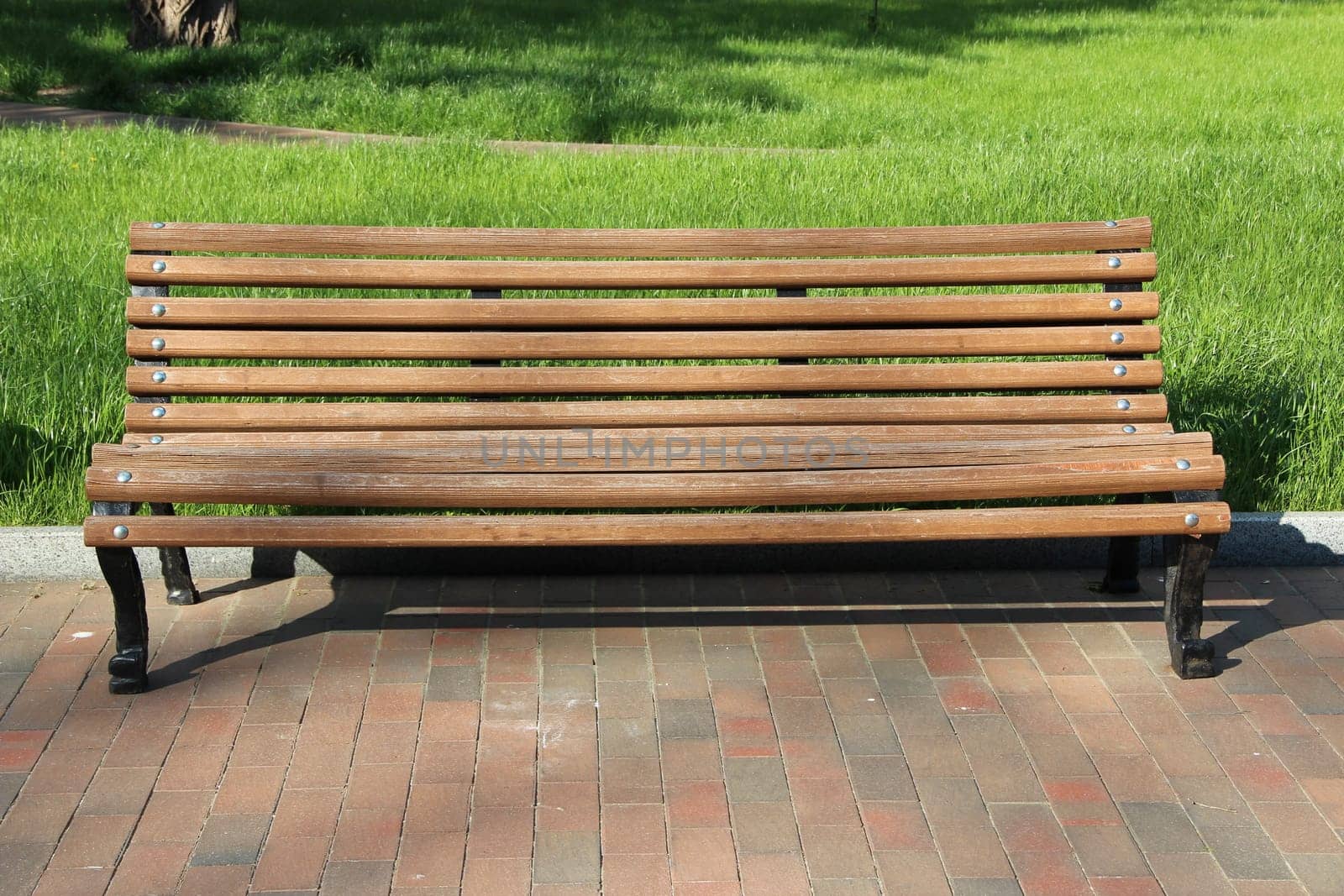 wooden bench in the park. beautiful bench in city park. Empty bench in beautiful park with green grass. Summer park with place for rest