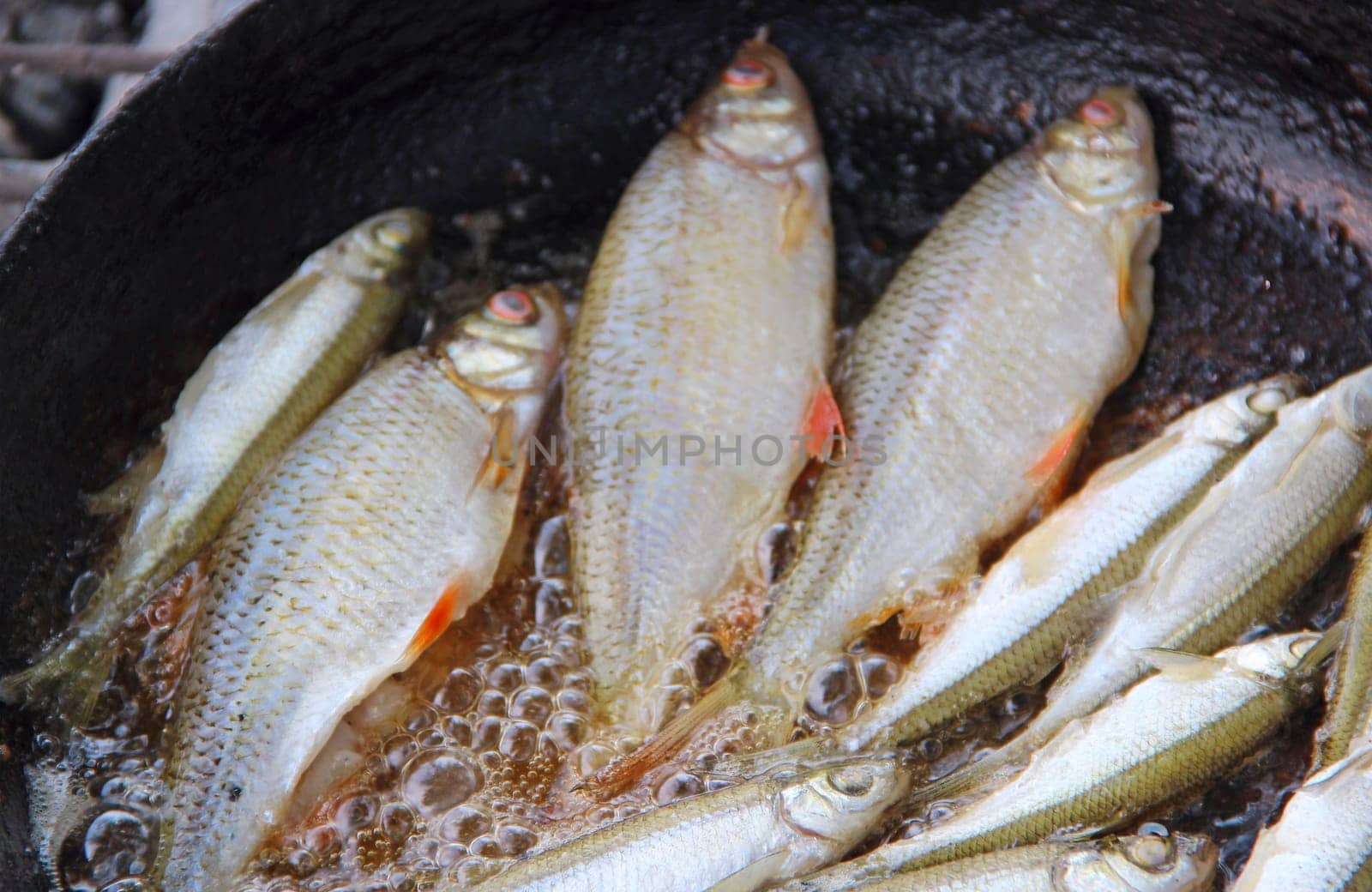 Fish is fried in frying pan by the river. Cooking fresh fish catch. Successful fishing. Delicious fish dish fried over the fire. Dish from fried fish cooked on fire. Pleasant rest by the river