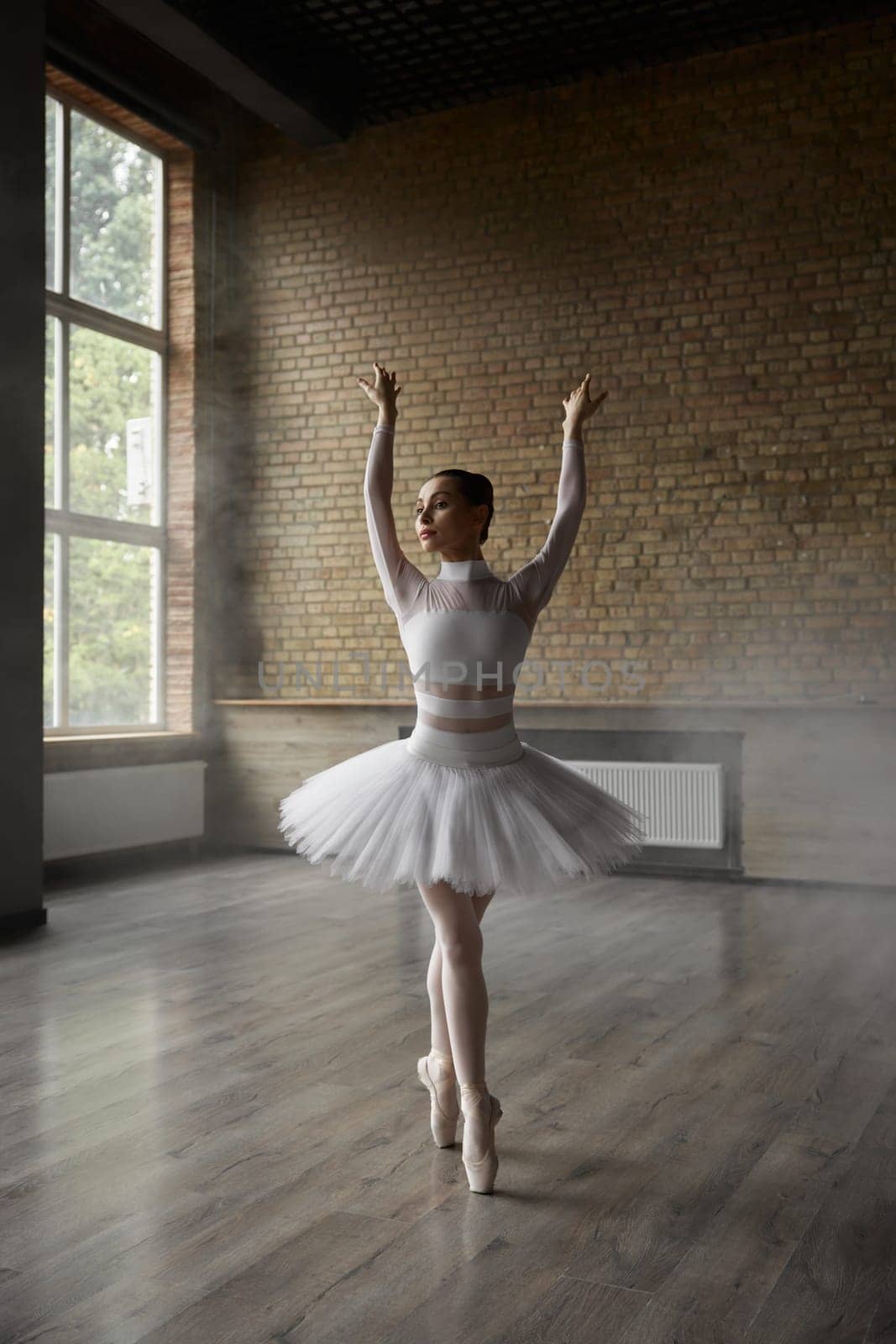 Beautiful female ballerina wearing tutu dress and pointe shoes performing indoors. Young woman ballet dancer training at rehearsal dance studio