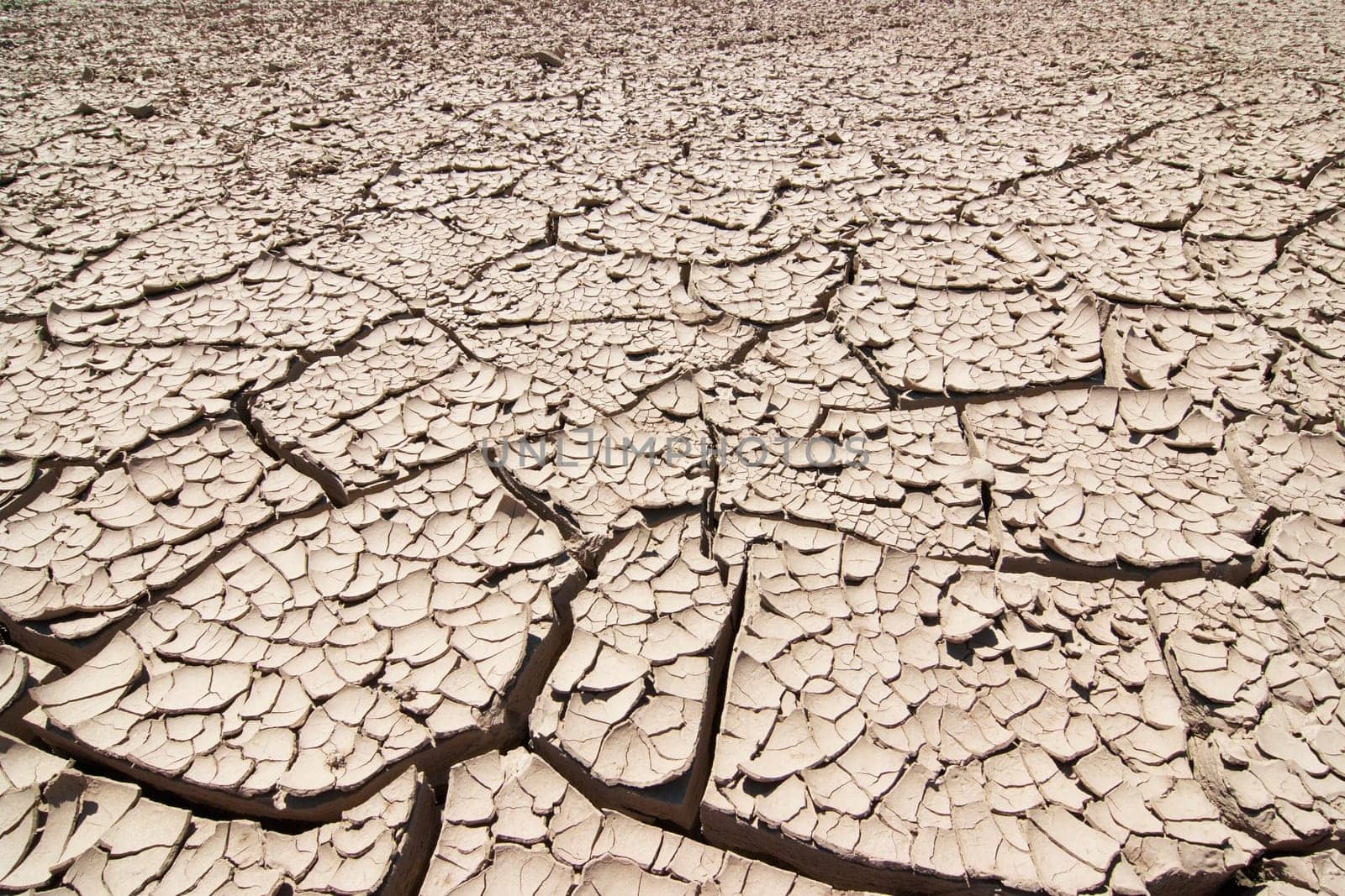 Detail of the cracked ground - dry season