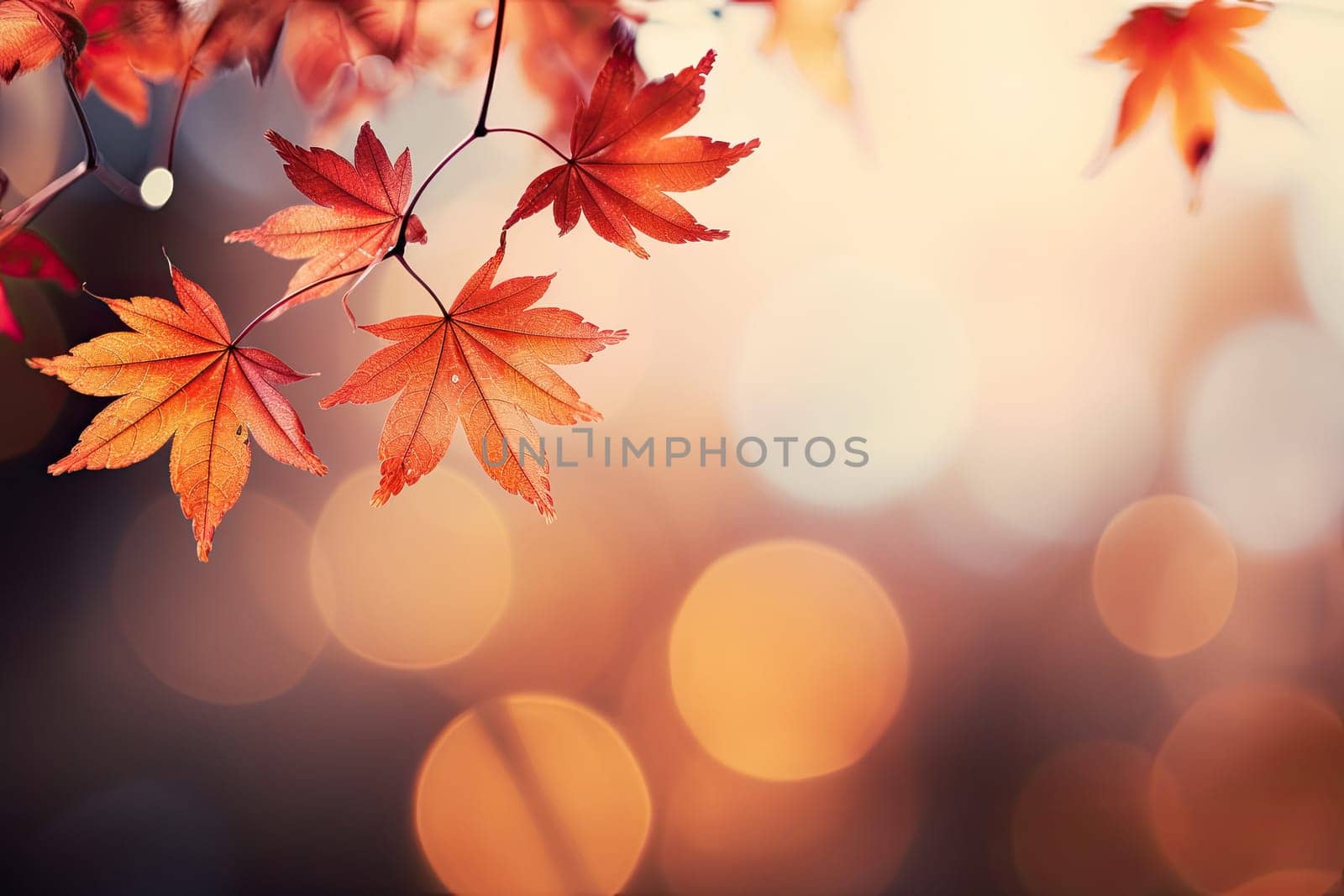 Beautiful orange and golden autumn leaves against a blurry park in sunlight with beautiful bokeh. Natural autumn background.