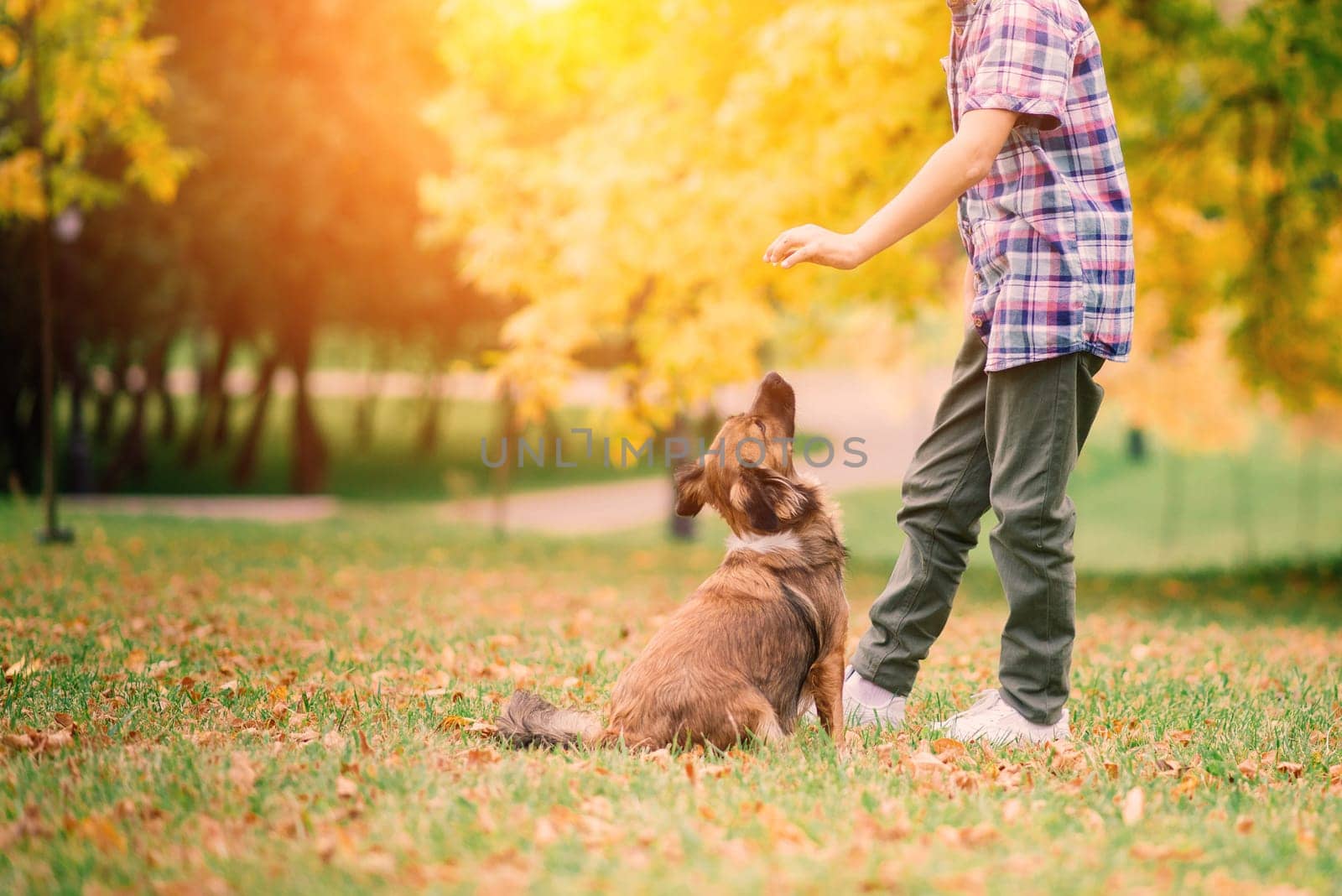 Cute boy playing and walking with his dog in the meadow.
