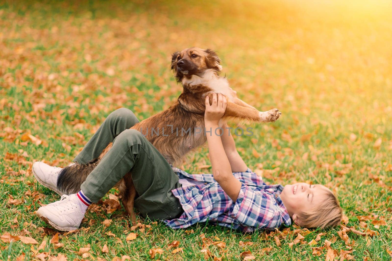 Boy hugging a dog and plyaing with in the fall, city park
