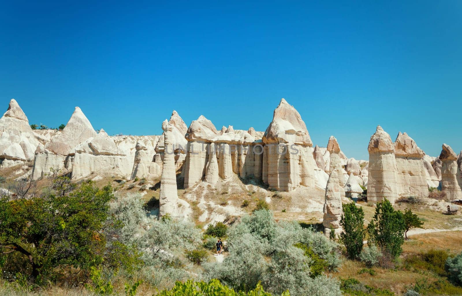 Unique geological formations in Love Valley in Cappadocia against blue sky in summer. Popular touristic area in Goreme, Nevsehir, Turkey