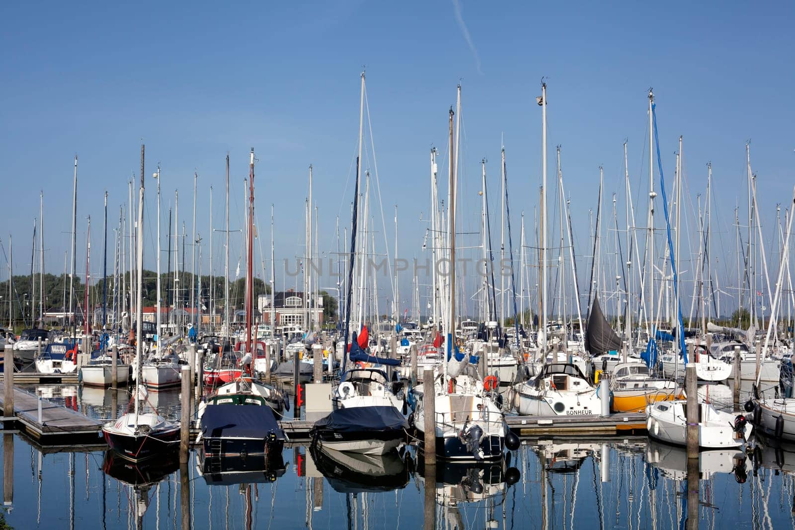 Sailboat harbor, many beautiful moored sail yachts in the sea port, modern water transport, summertime vacation, luxury lifestyle and wealth concept