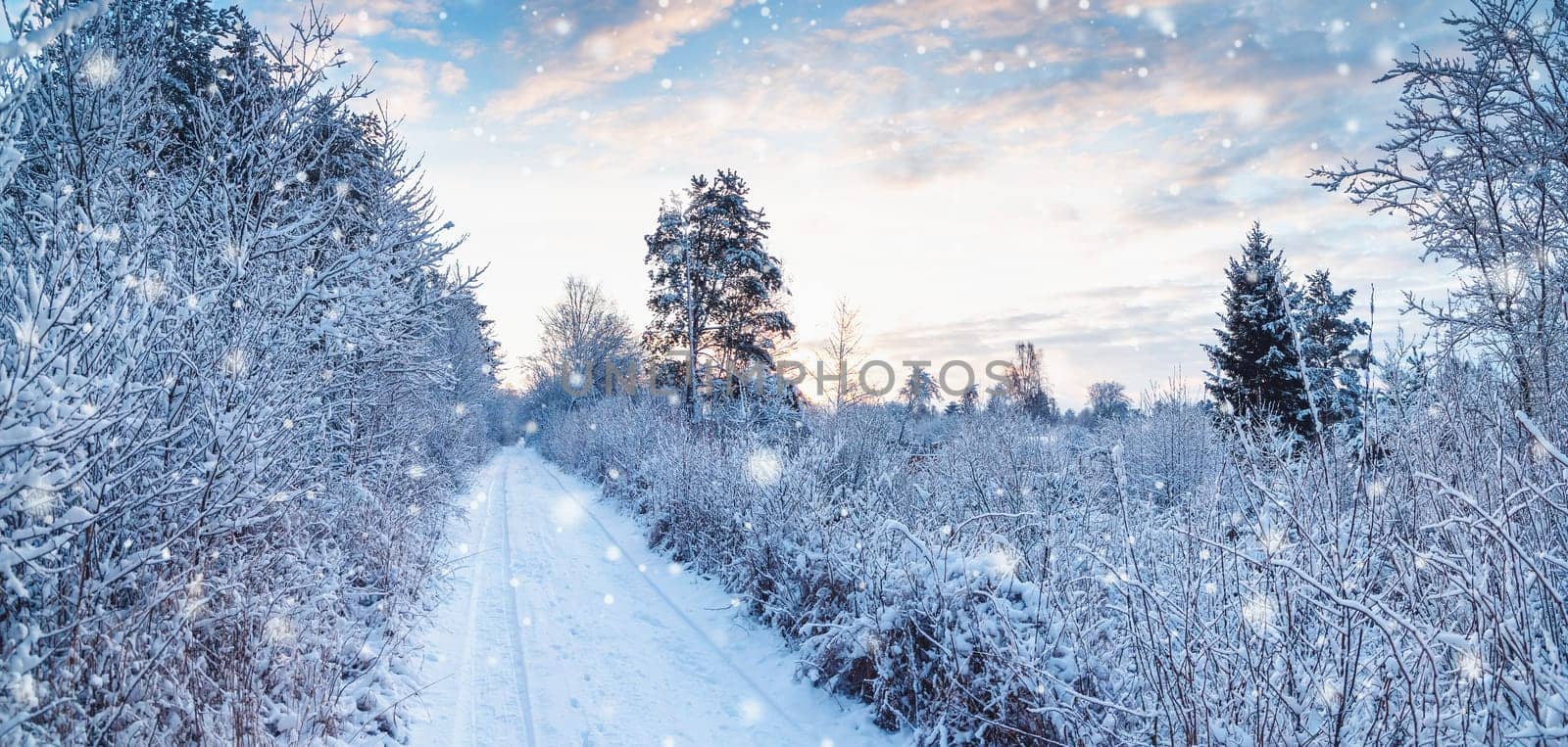 Beautiful winter road in natural park in snowfall. Scenery landscape.