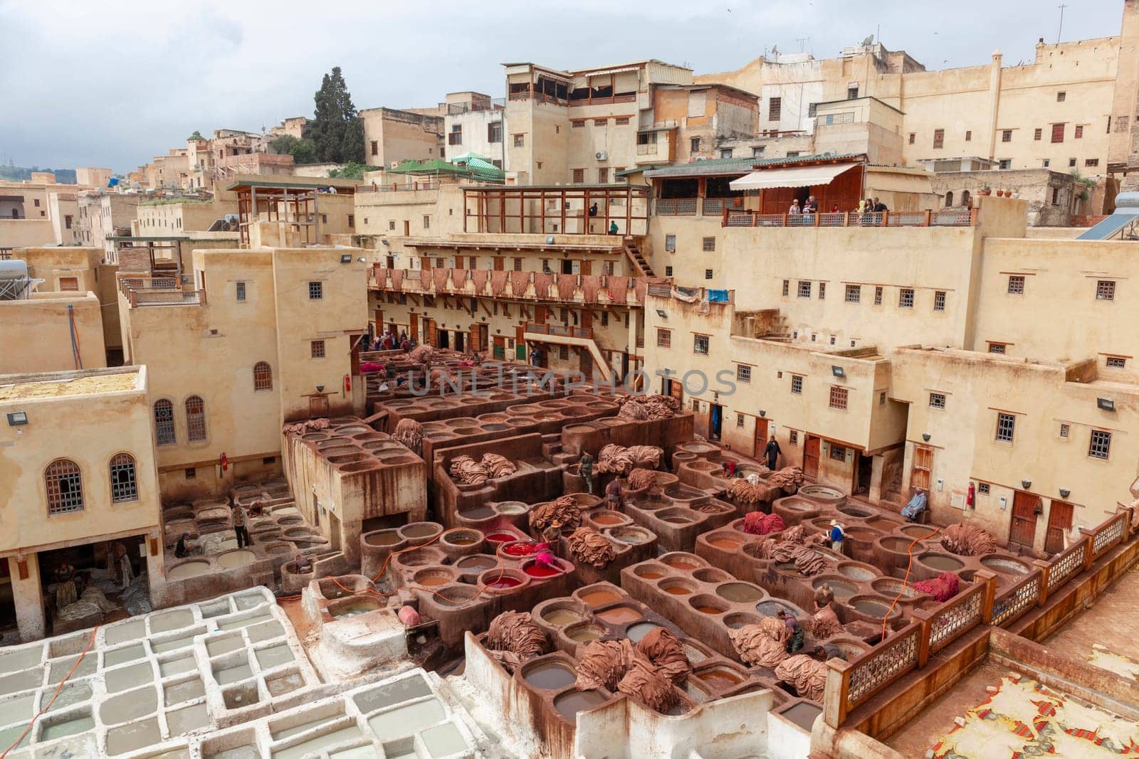 Men working hard in Chouara tannery souk in Fez, Morocco. The tannery souk of weavers is the most visited part of the 2000 years old city. Africa