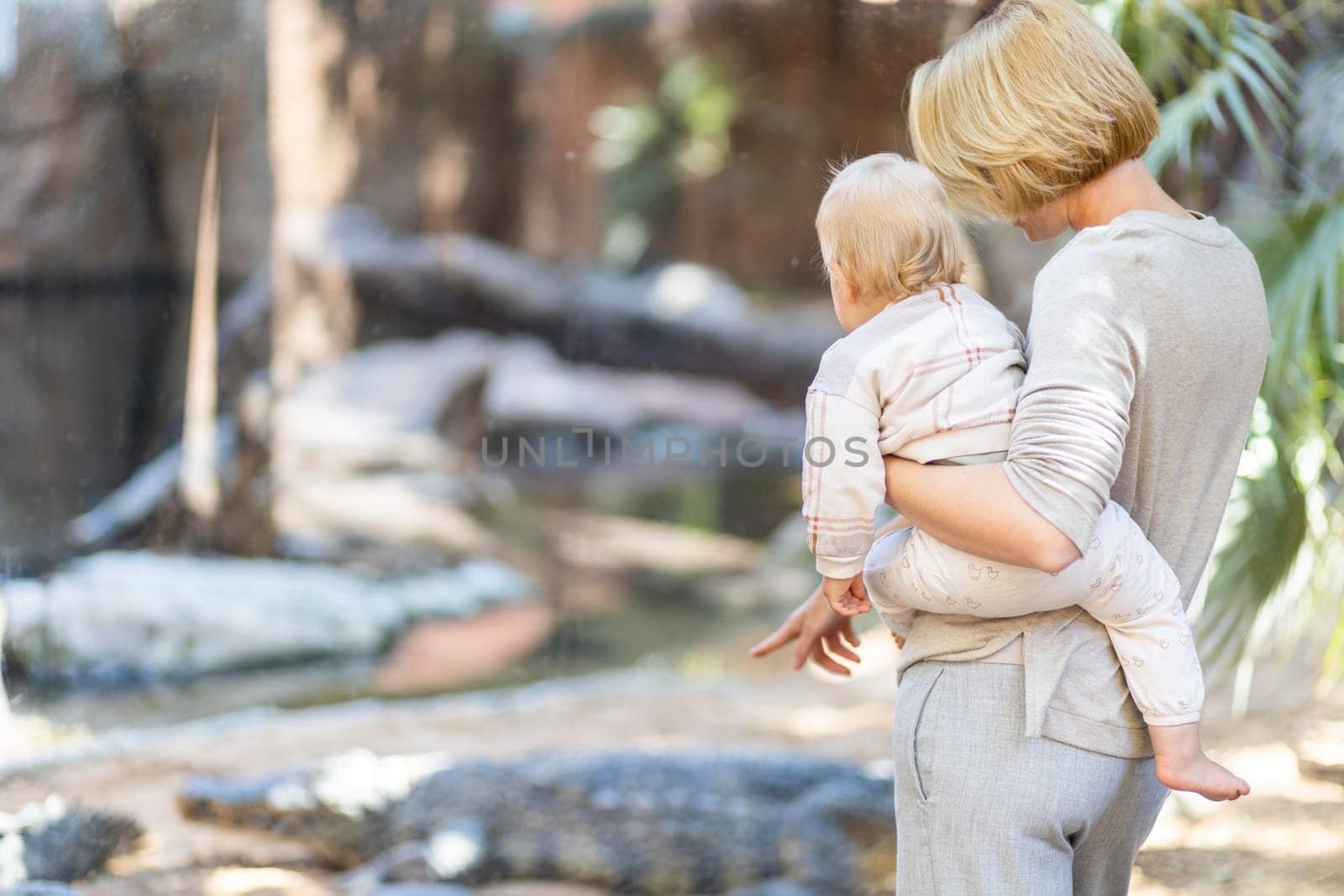 Caucasian blonde mother holding her infant baby boy child in her lap watching crocodile in zoo. Happy family having fun with animals safari park on warm summer day.