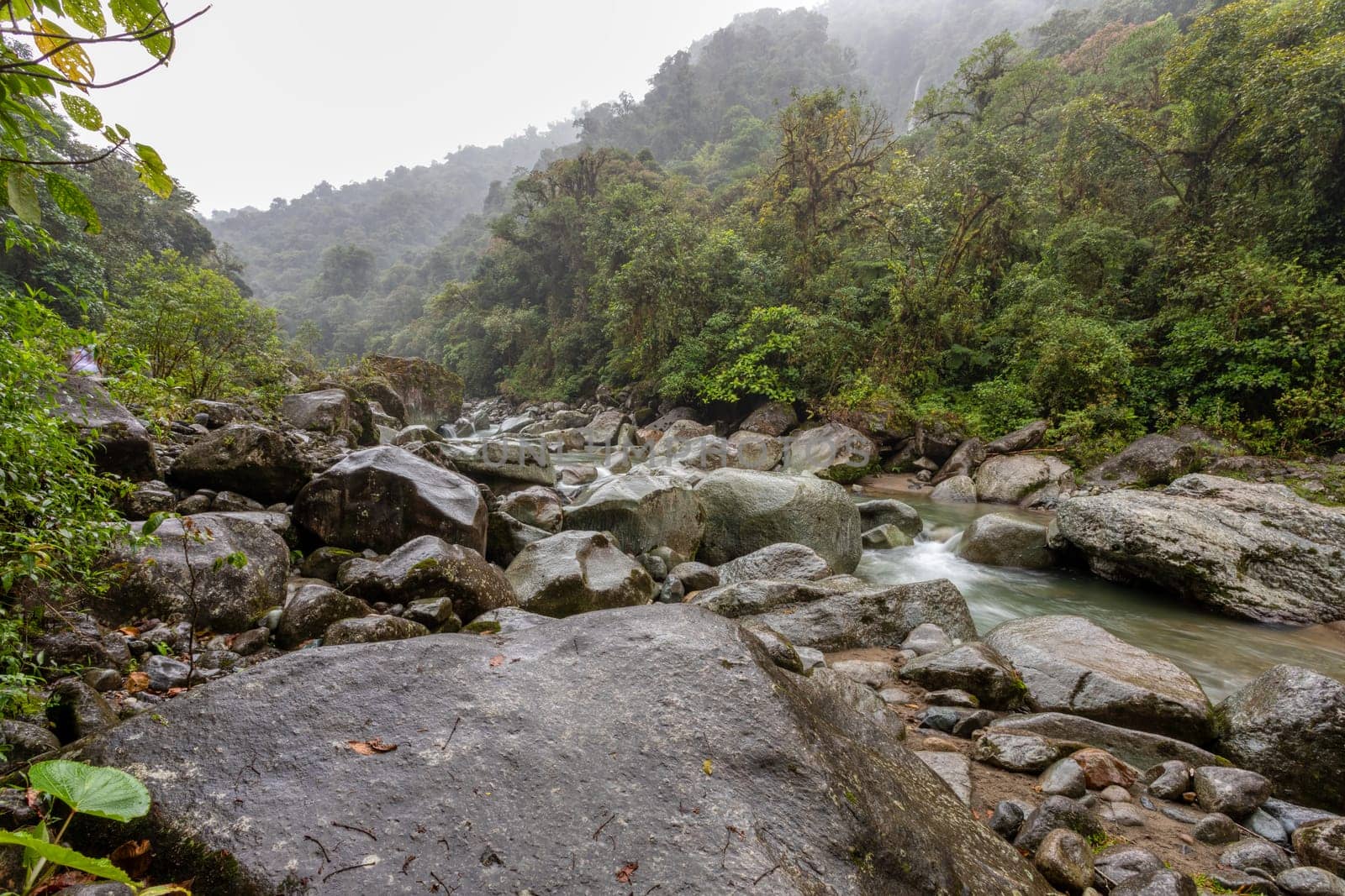 The Orosi River, also called Rio Grande de Orosi, is a river in Costa Rica near the Cordillera de Talamanca. Tapanti - Cerro de la Muerte Massif National Park. Costa Rica wilderness landscape
