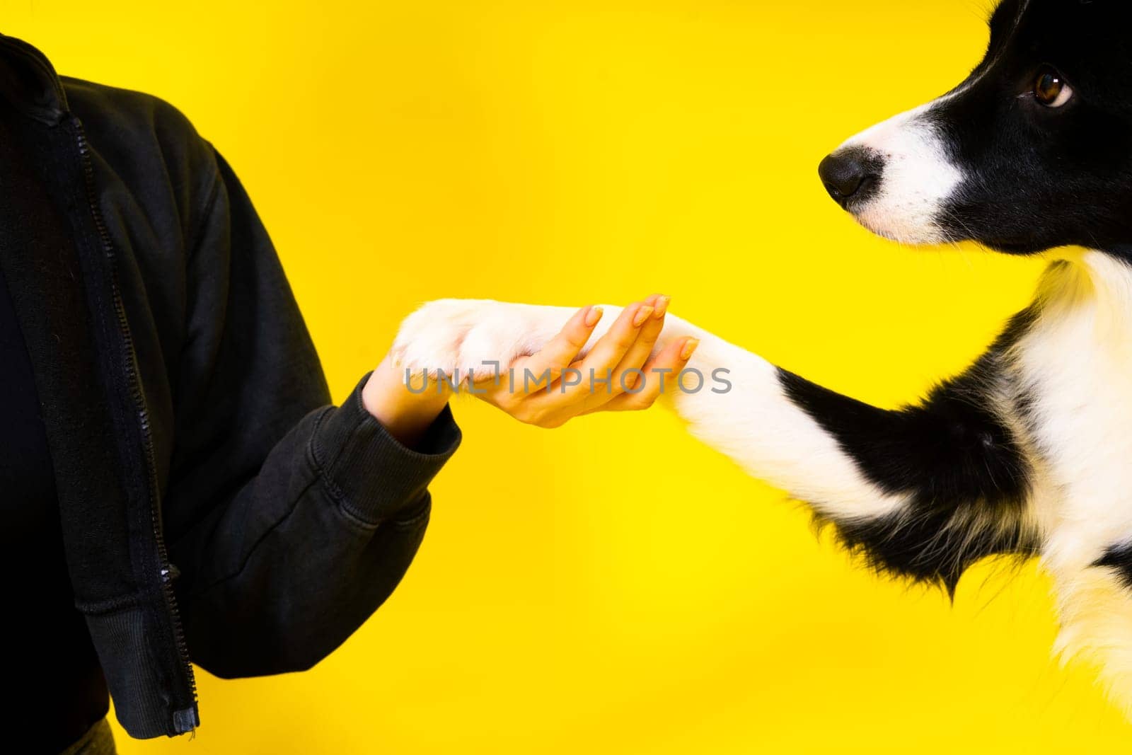 Friendship between people and animals, a studio shot, love, tender, warm feeling and emotion