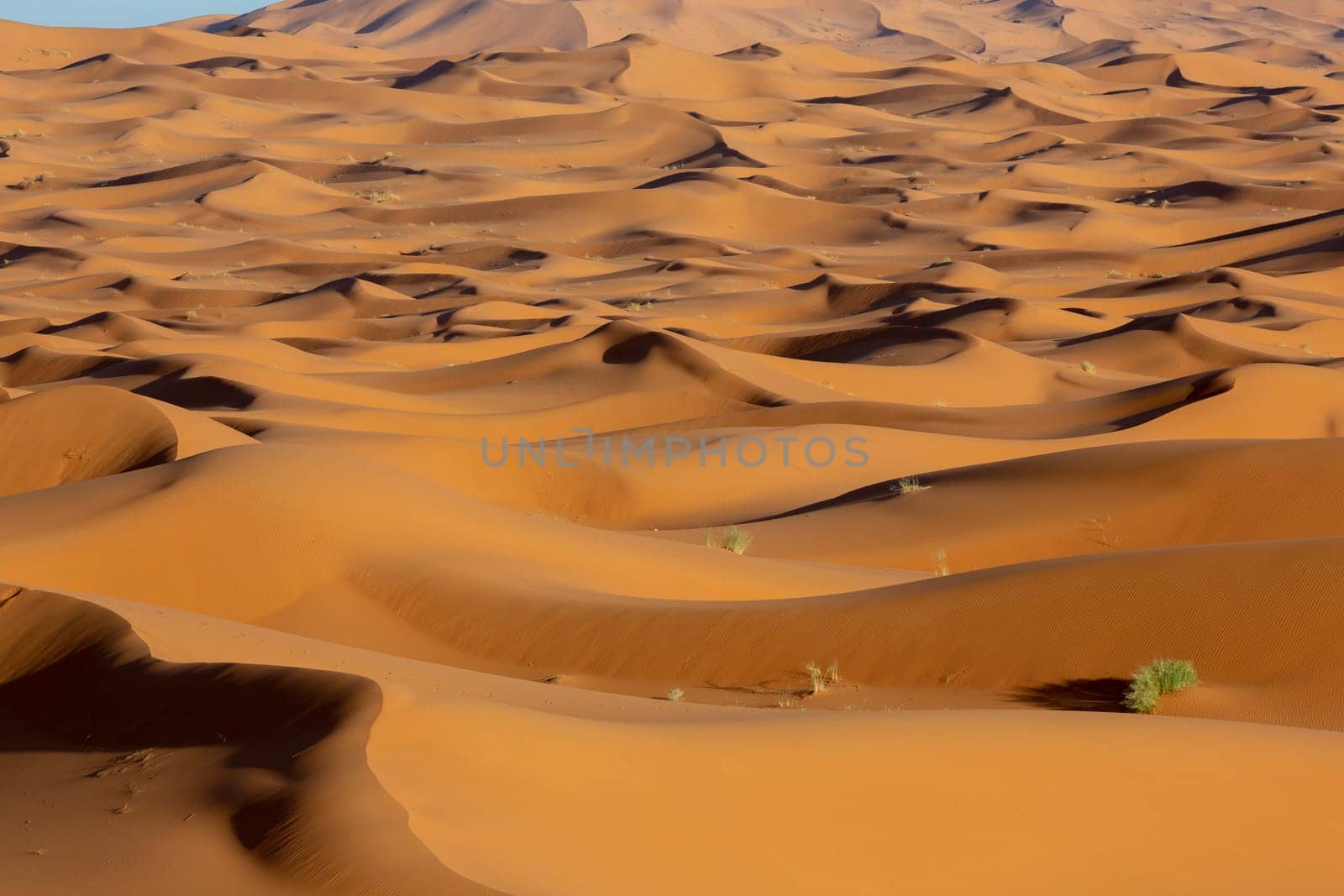 Landscape of sand hot desert with wind and sky. Outdoor panorama on wild summer dune. Arab and safaris, african and egypt, east climate, travel and tourism, adventure and wild theme, Africa