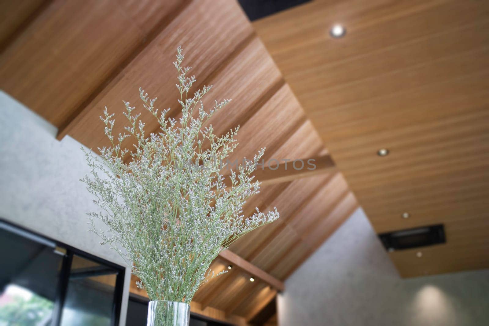 Ceilings in a cozy living room, stock photo