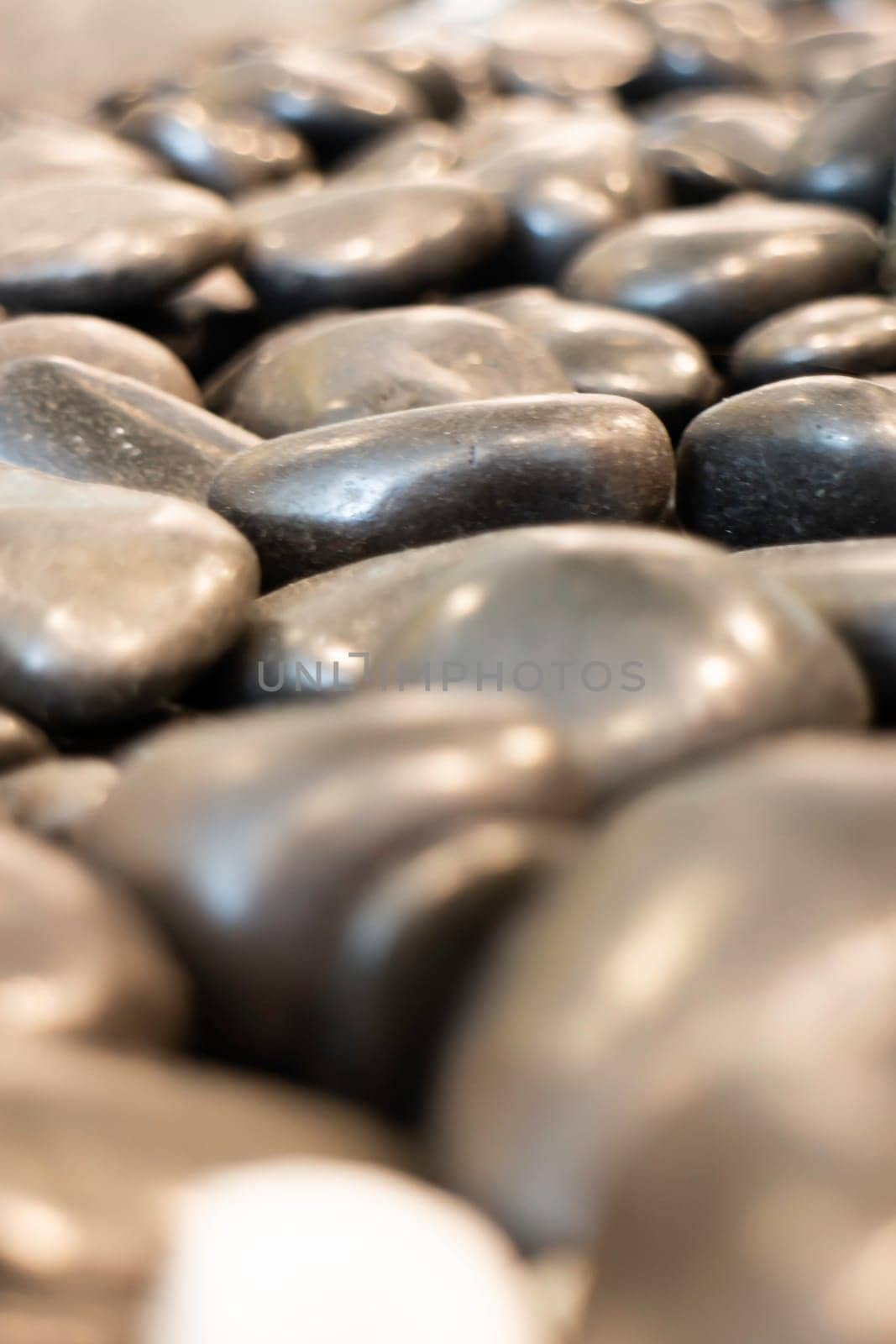 Interior of a modern decorated espresso bar, stock photo