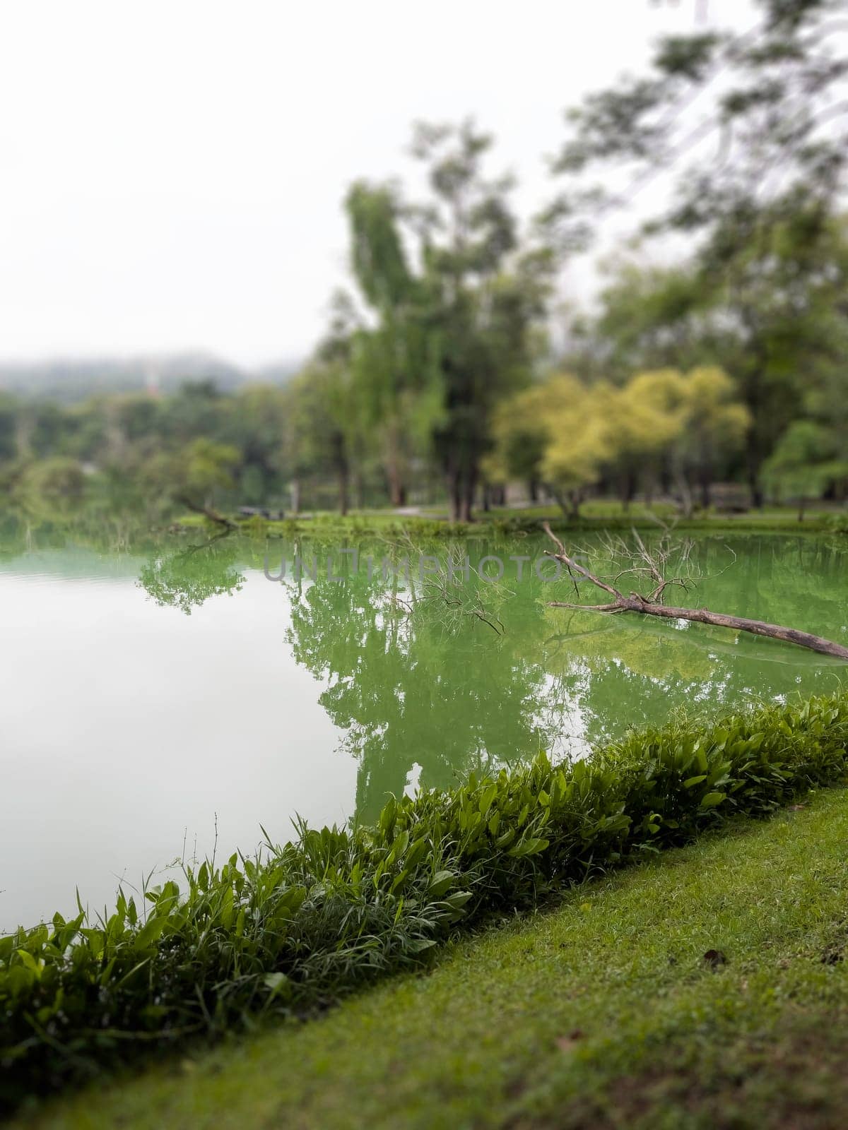 Evening cloudy sky reflected in lake, stock photo