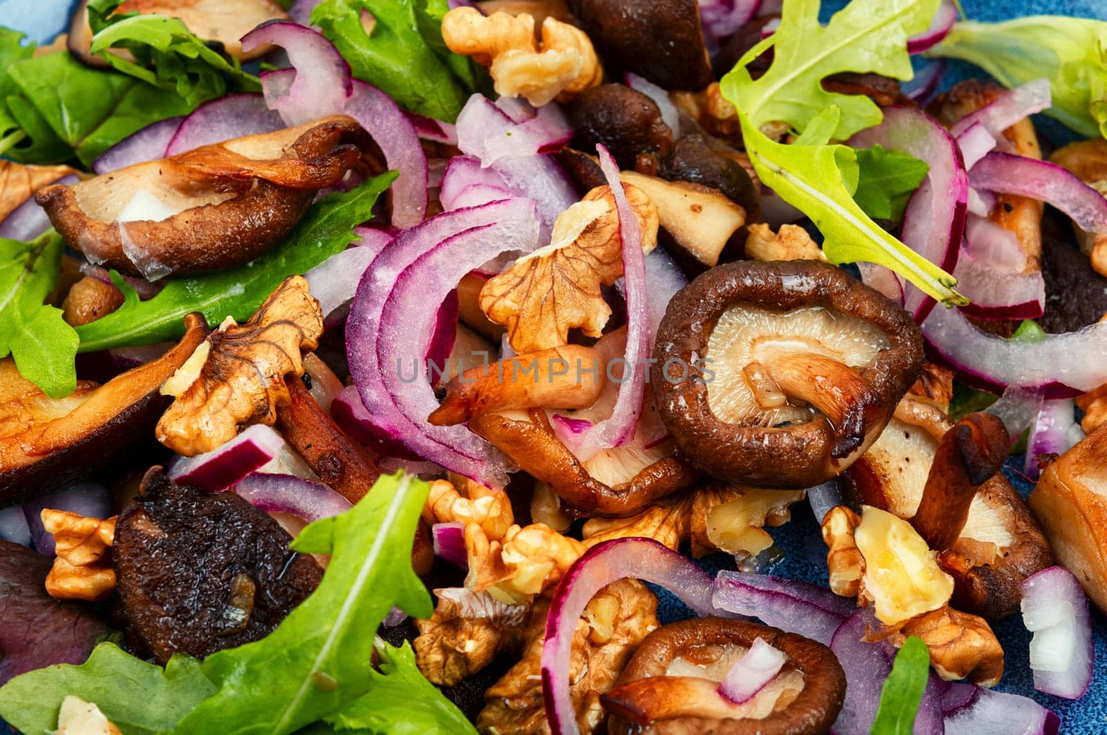 Diet salad with grilled forest mushrooms, onions, green and walnuts. Top view, copy space.