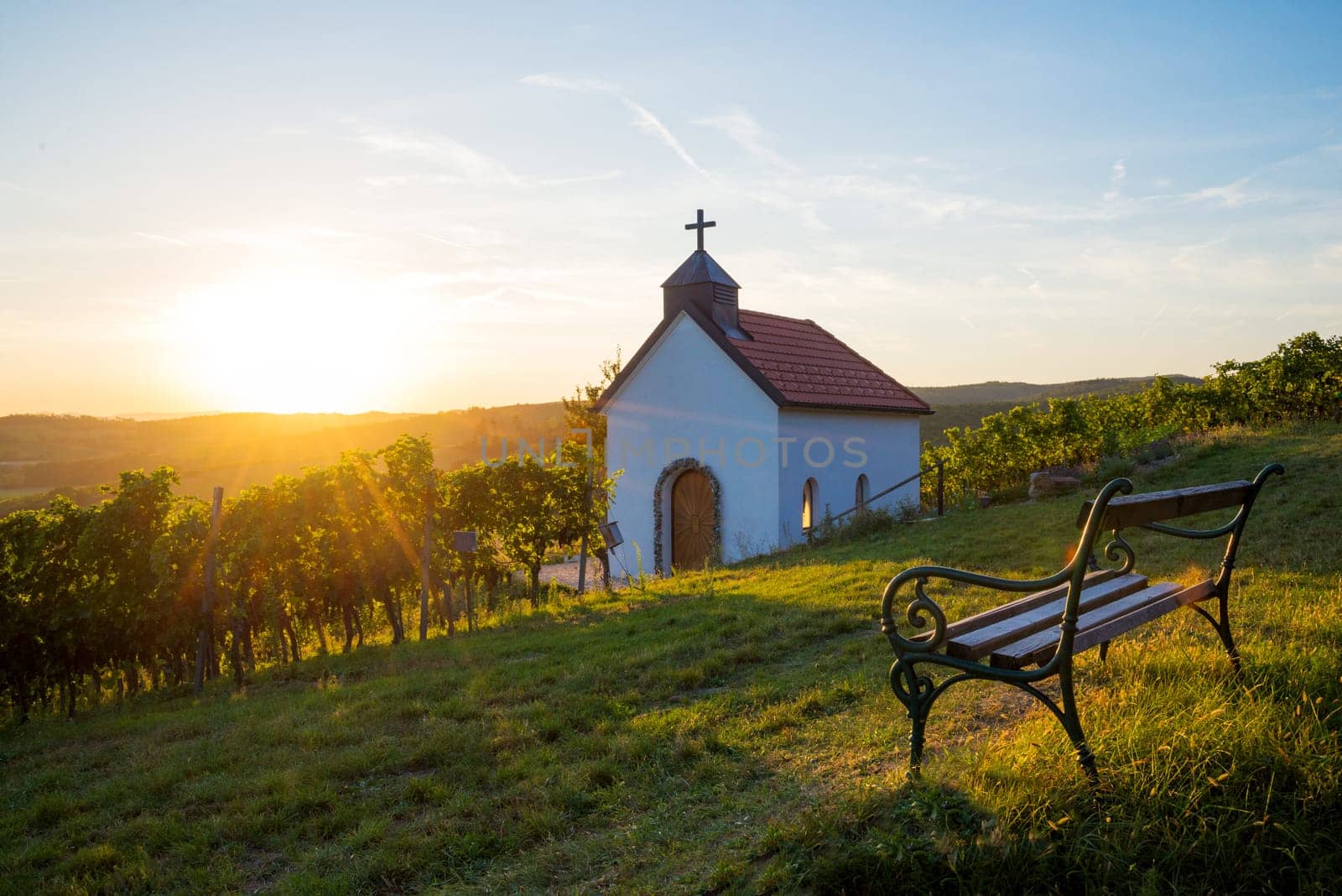 Church in the middle of vineyards