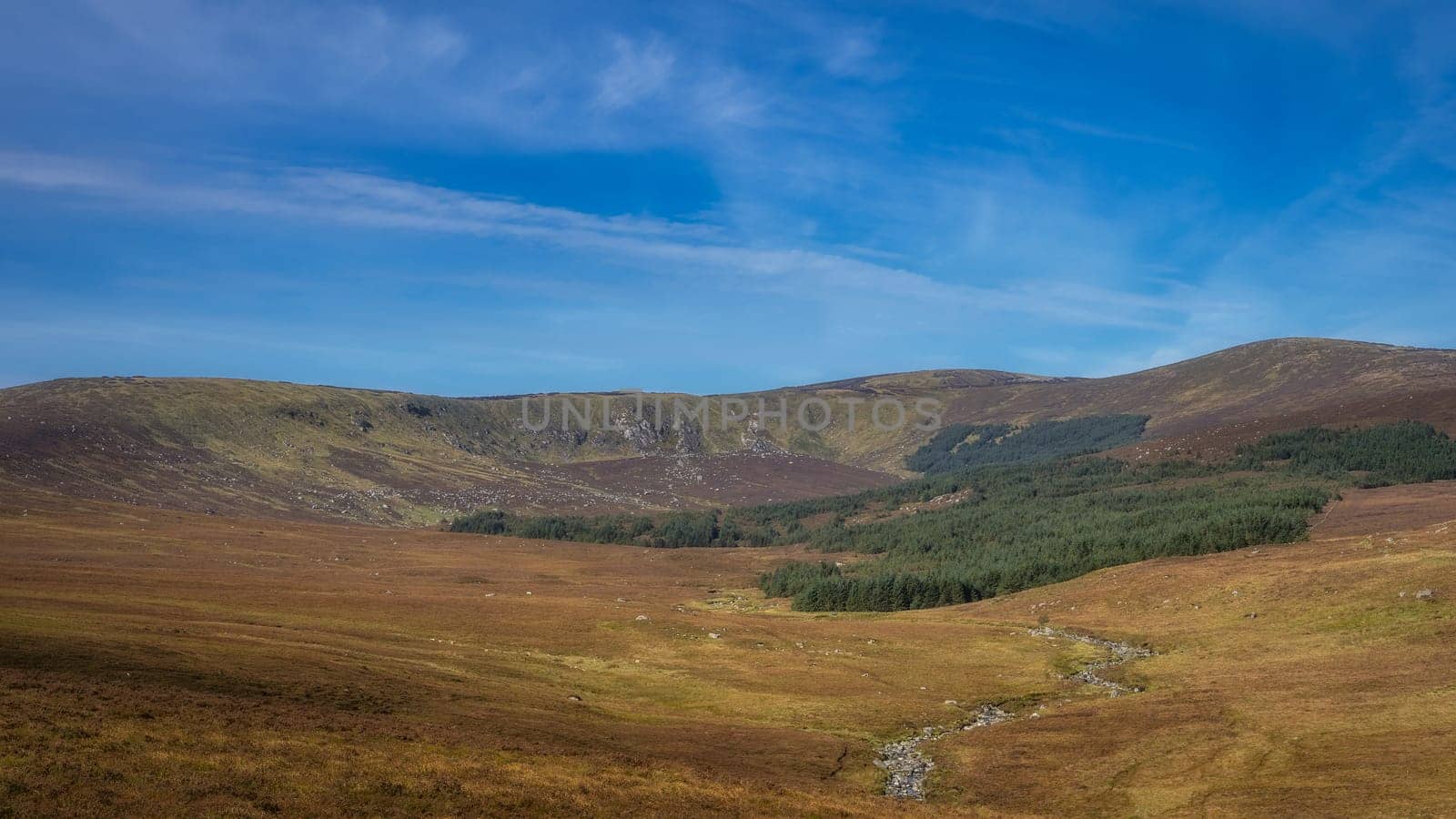Beautiful vista with stream leading to the forest and Lough Ouler that hiding behind it. Foothill of Tonelagee Mountain, Wicklow Mountains, Ireland