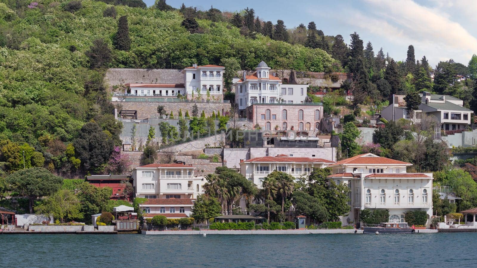 Group of traditional houses on a green hill by Bosphorus in Istanbul, Turkey. The trees in the foreground are lush and green. The sky is clear and blue
