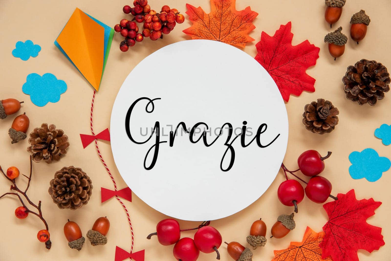 Fall Decoration, Colorful Autumn Leaves and Handicraft Kite, Round Label With Italian Text Grazie, Which Means Thanks In English
