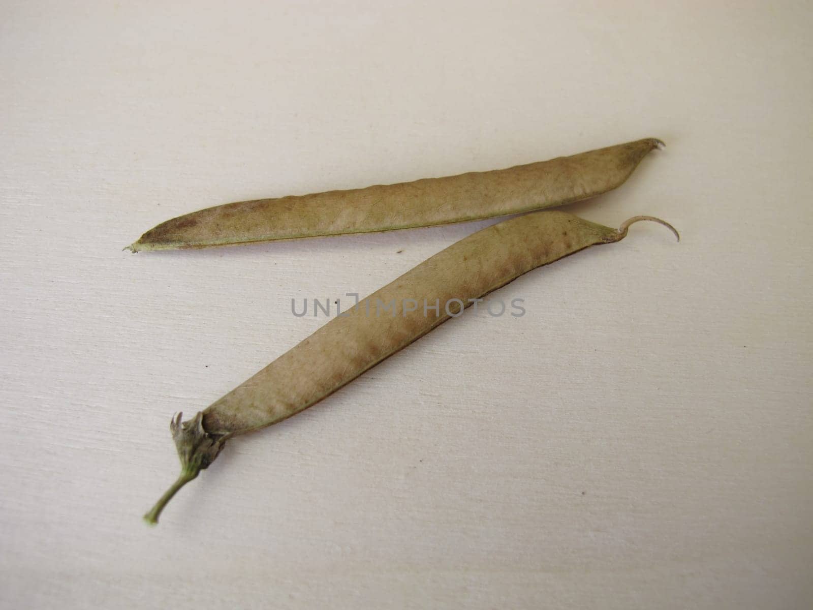 Ripe sweet pea pods on a wooden board
