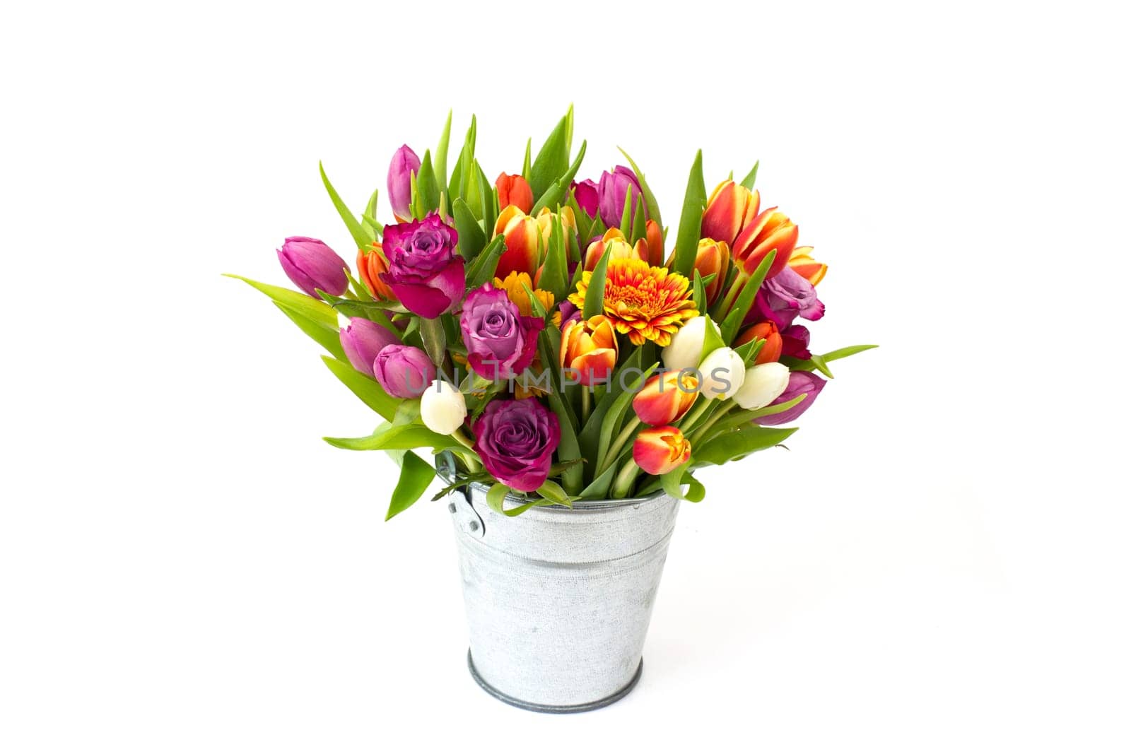 flowers in a bucket on white background