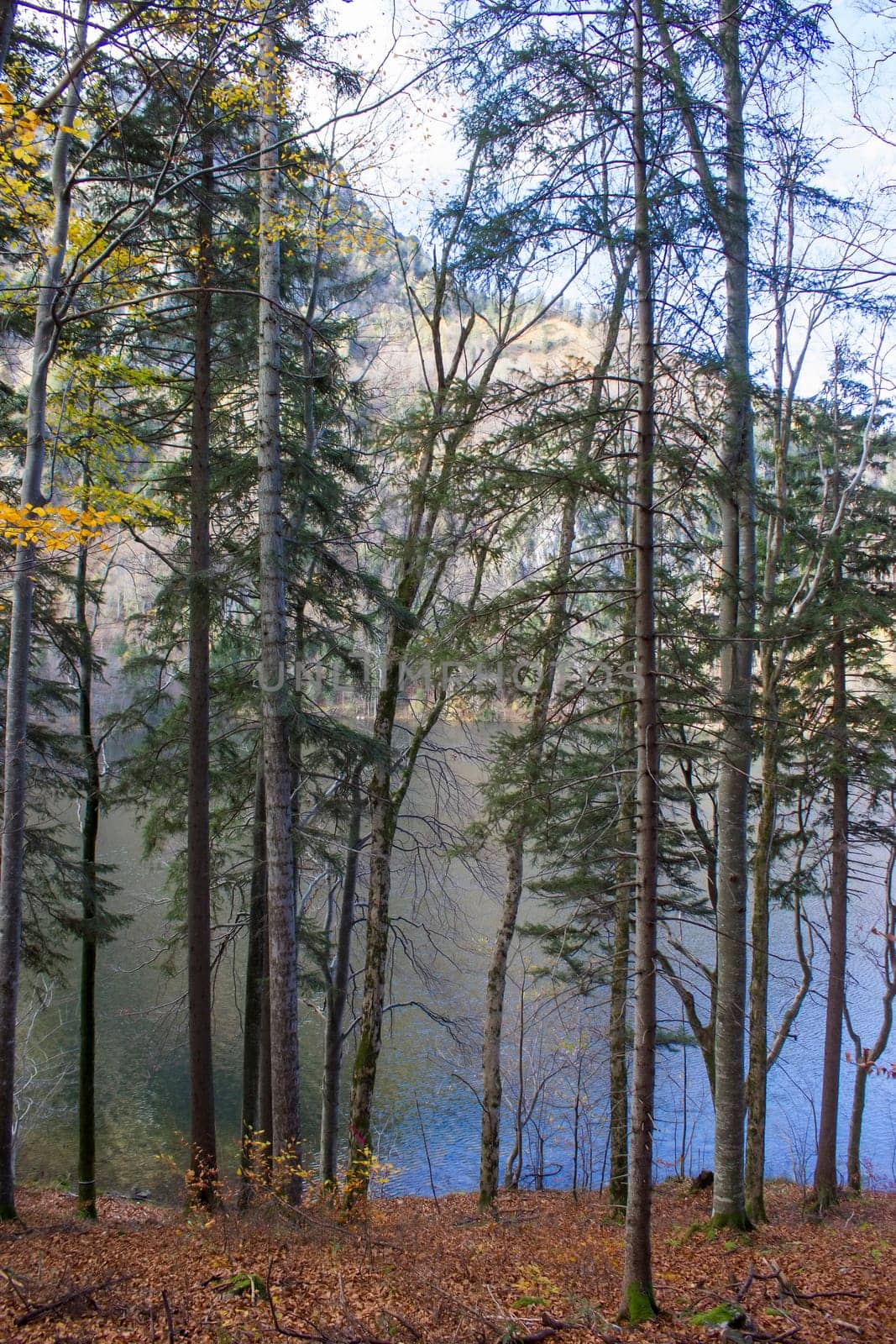 autumn view of lake Laudachsee, Gmunden, Austria