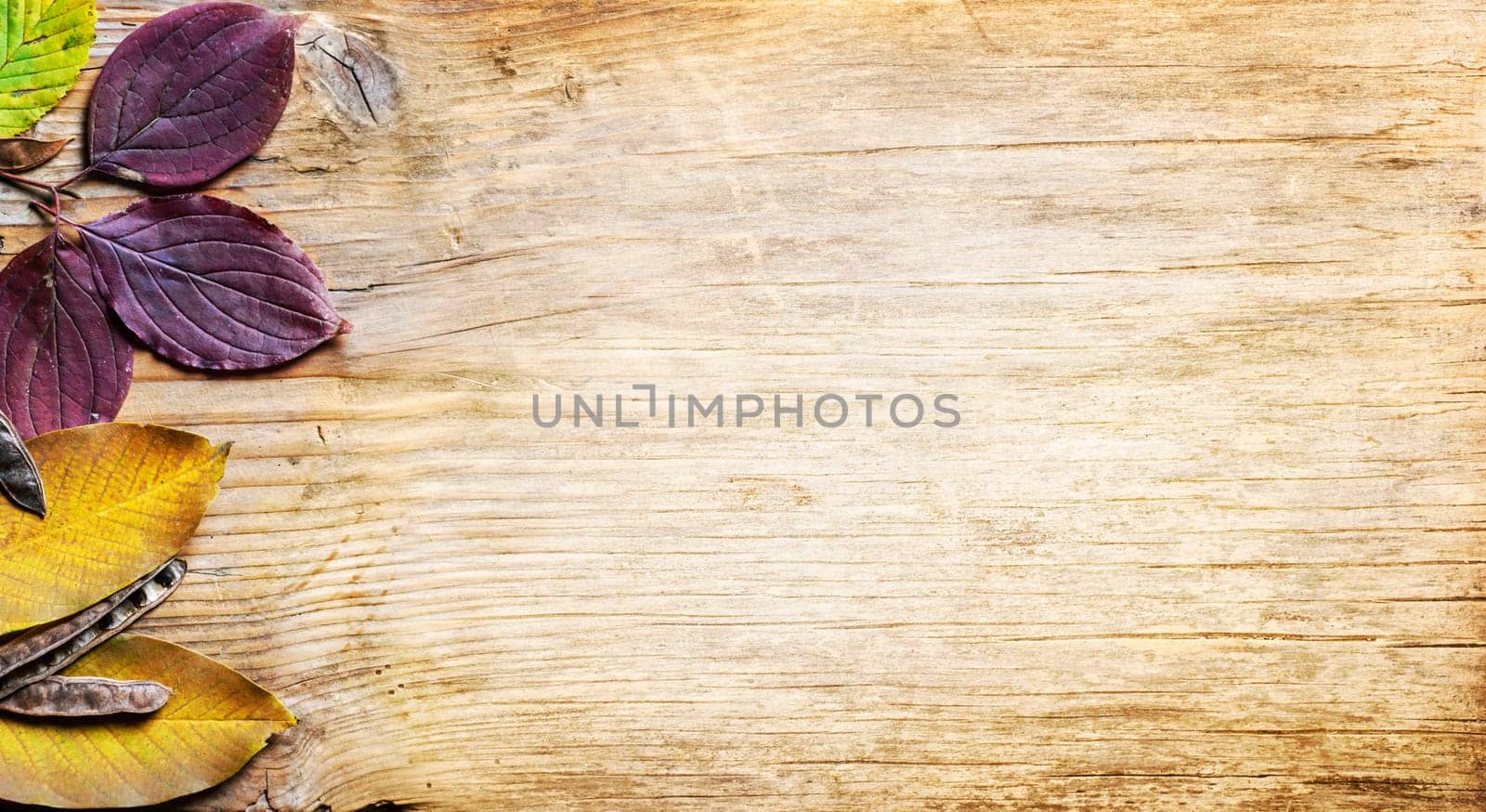 Top view of yellow autumn leaves frame on vintage wooden background. Fall season with brown beech leaf border on rustic table texture. September design banner.