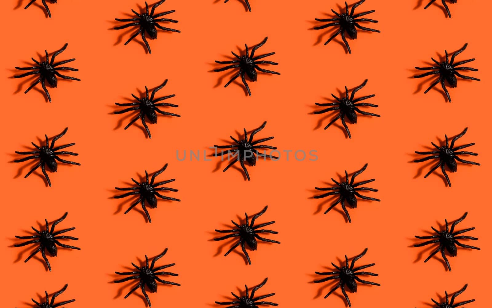 Halloween background pattern. Scary black spider on orange paper. Minimal pop art design for halloween party concept.