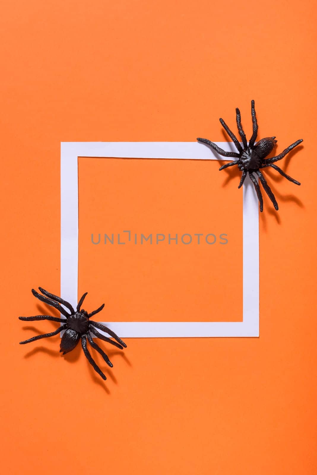 Empty white frame with scary black spider on orange paper. Halloween background layout. Minimal flat lay design.