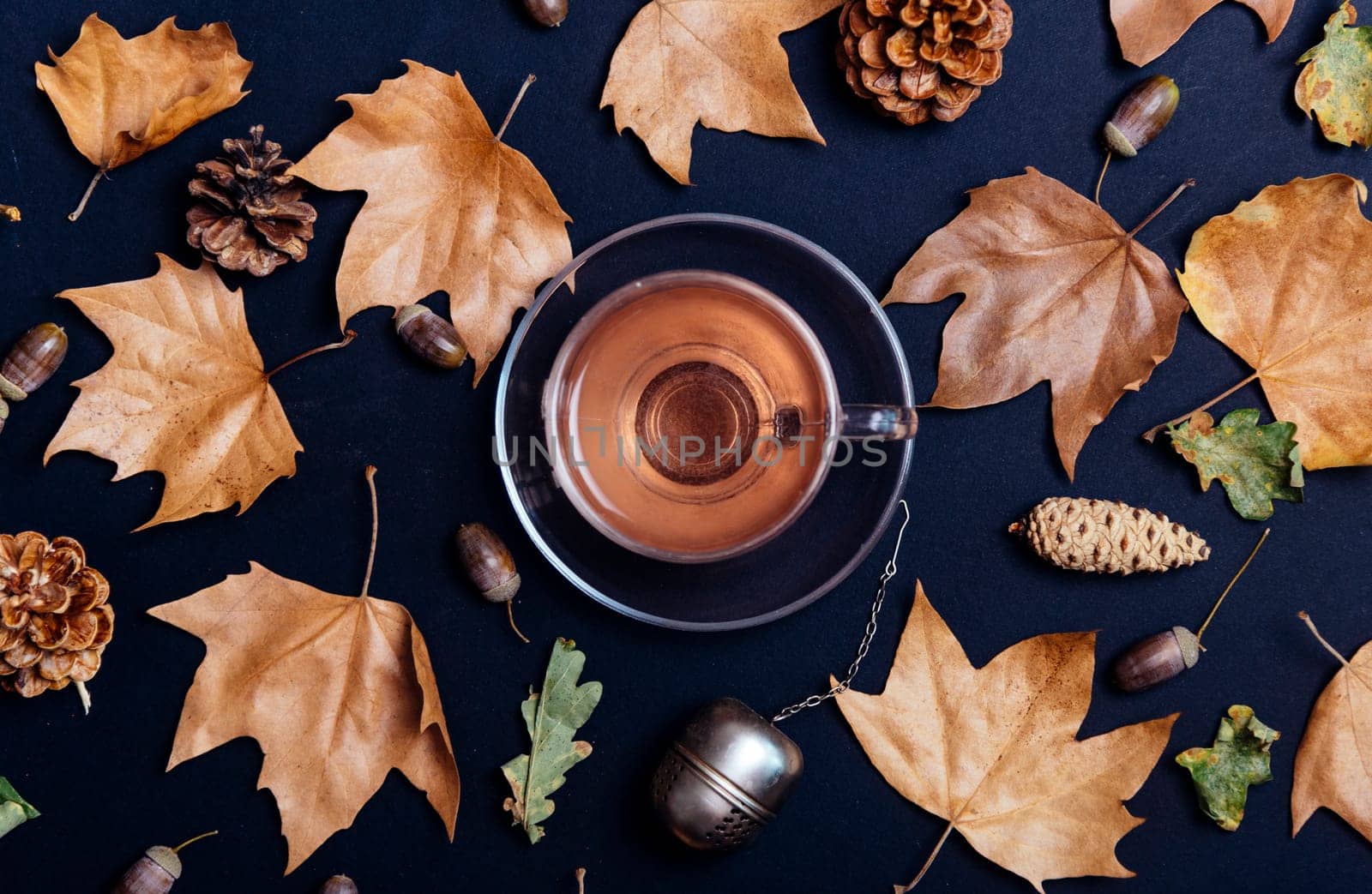 Cup of tea with autumn leaves, acorn and cones on dark background from above. Maple leaf texture on black paper. Seasonal composition pattern design with cozy drink. Flat lay.