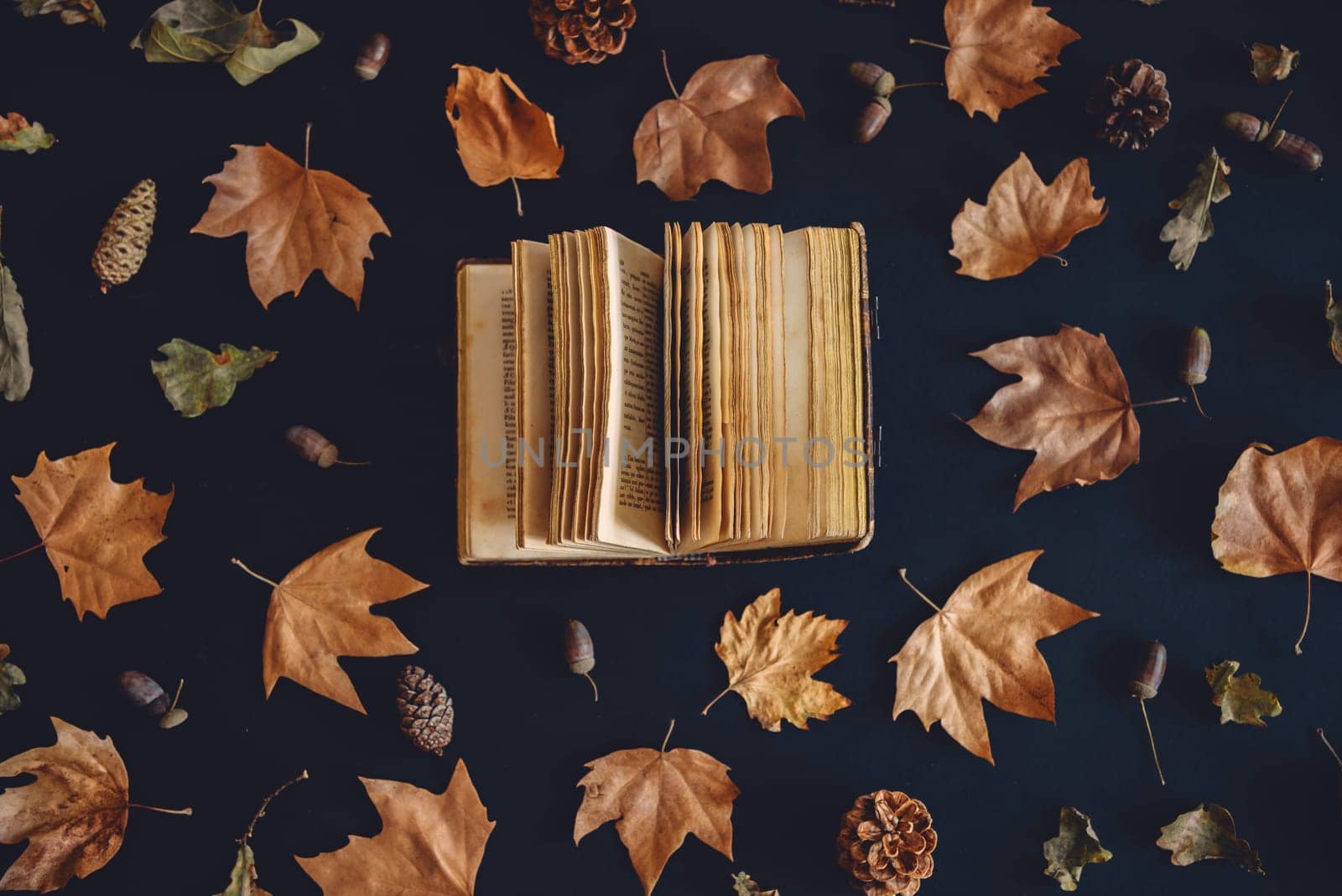 Vintage book and autumn maple leaves on dark background from above. Autumnal nature pattern and literature creative concept. Flat lay. Fall season art composition wallpaper.