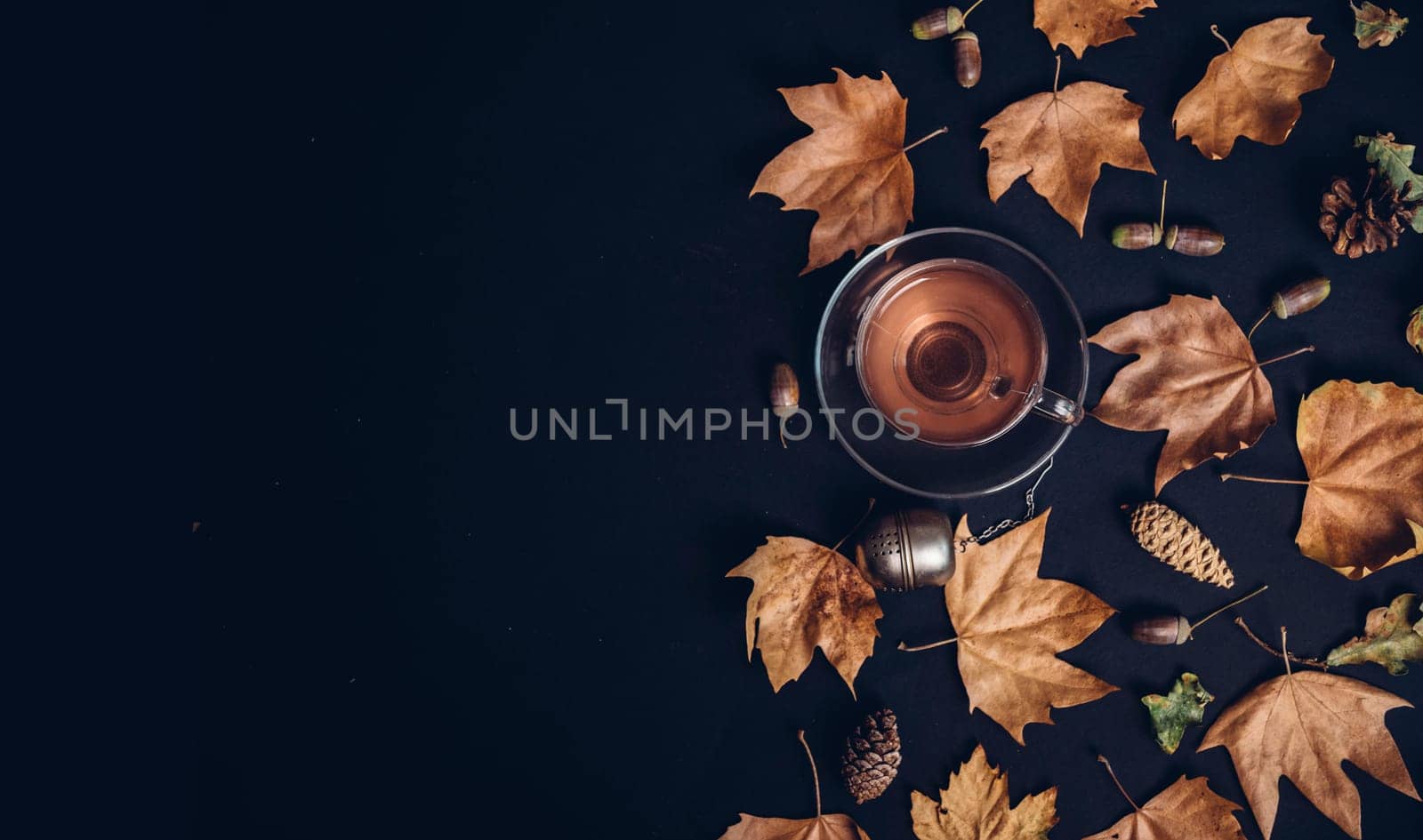 Cup of tea with autumn leaves, acorn and cones on dark background from above. Maple leaf texture on black paper. Seasonal composition pattern border design with cozy drink. Flat lay.