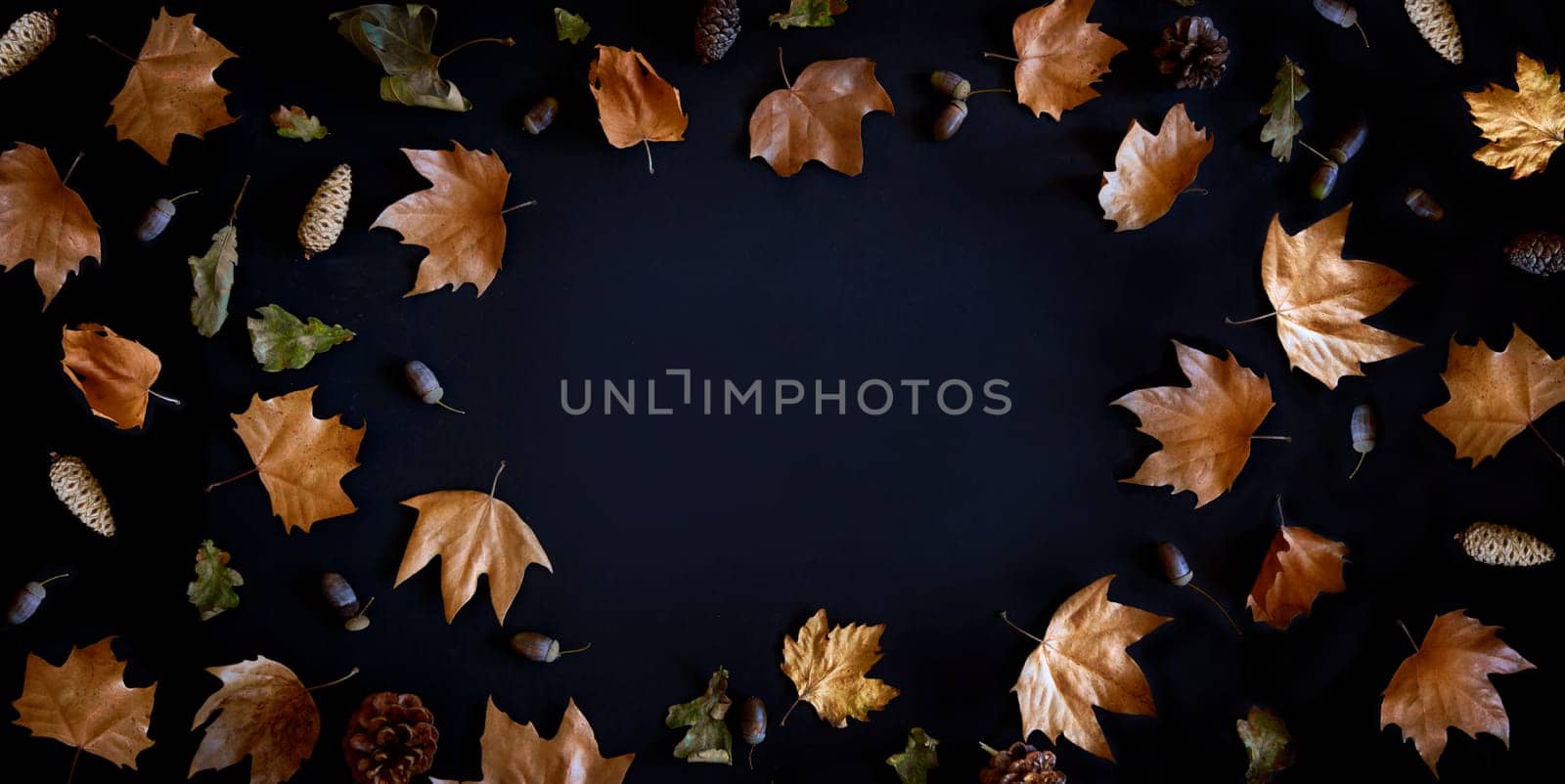 Autumn maple leaves frame on dark background with copyspace from above. November black friday sale and thanksgiving concept. Fall season natural flat lay border.