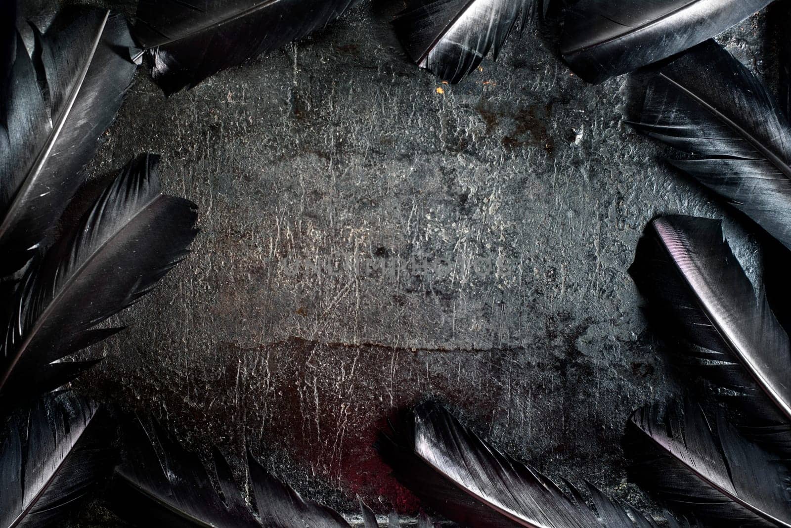 Halloween background with black raven feathers on dark grunge backdrop. Horror gothic abstract design with copyspace. Closeup of bird wing texture