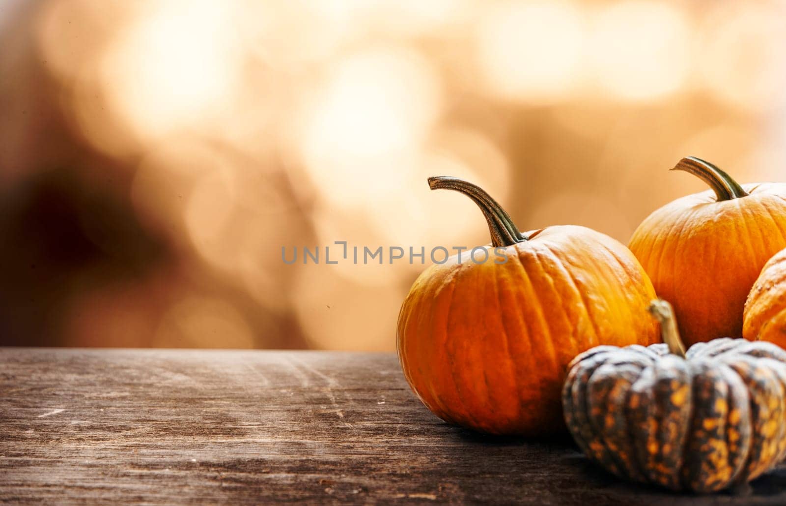 Autumn pumpkins still life on vintage wooden table and bokeh background. Thanksgiving family dinner greeting card design. Halloween pumpkin decoration border. Holiday festival concept.
