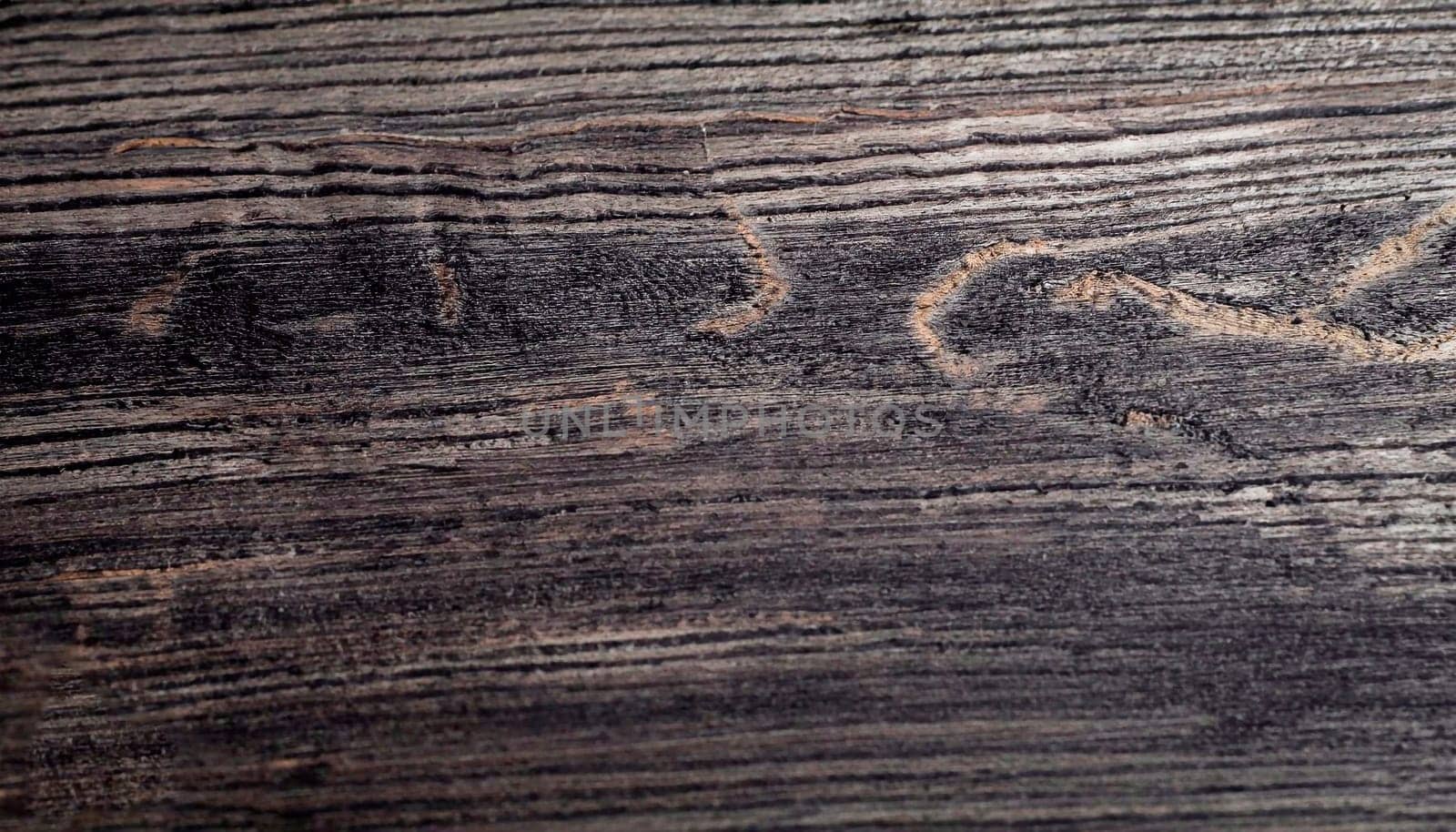 Real ebony wood texture for high impact natural feeling. Extremely high resolution photo.