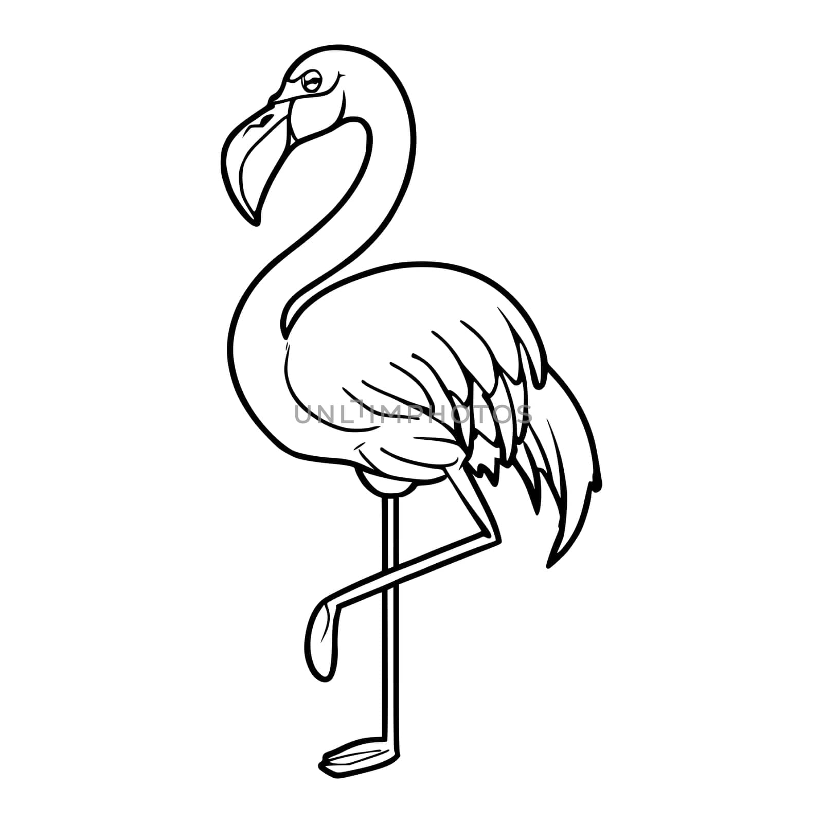 Flamingo Coloring Pages for Kids and Toddlers