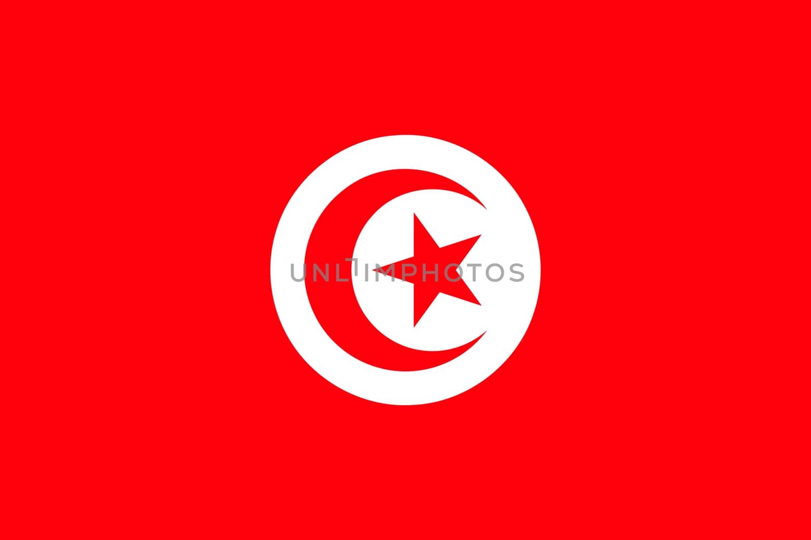 Tunisia flag with official colors and the aspect ratio of 2:3. Flat vector illustration.