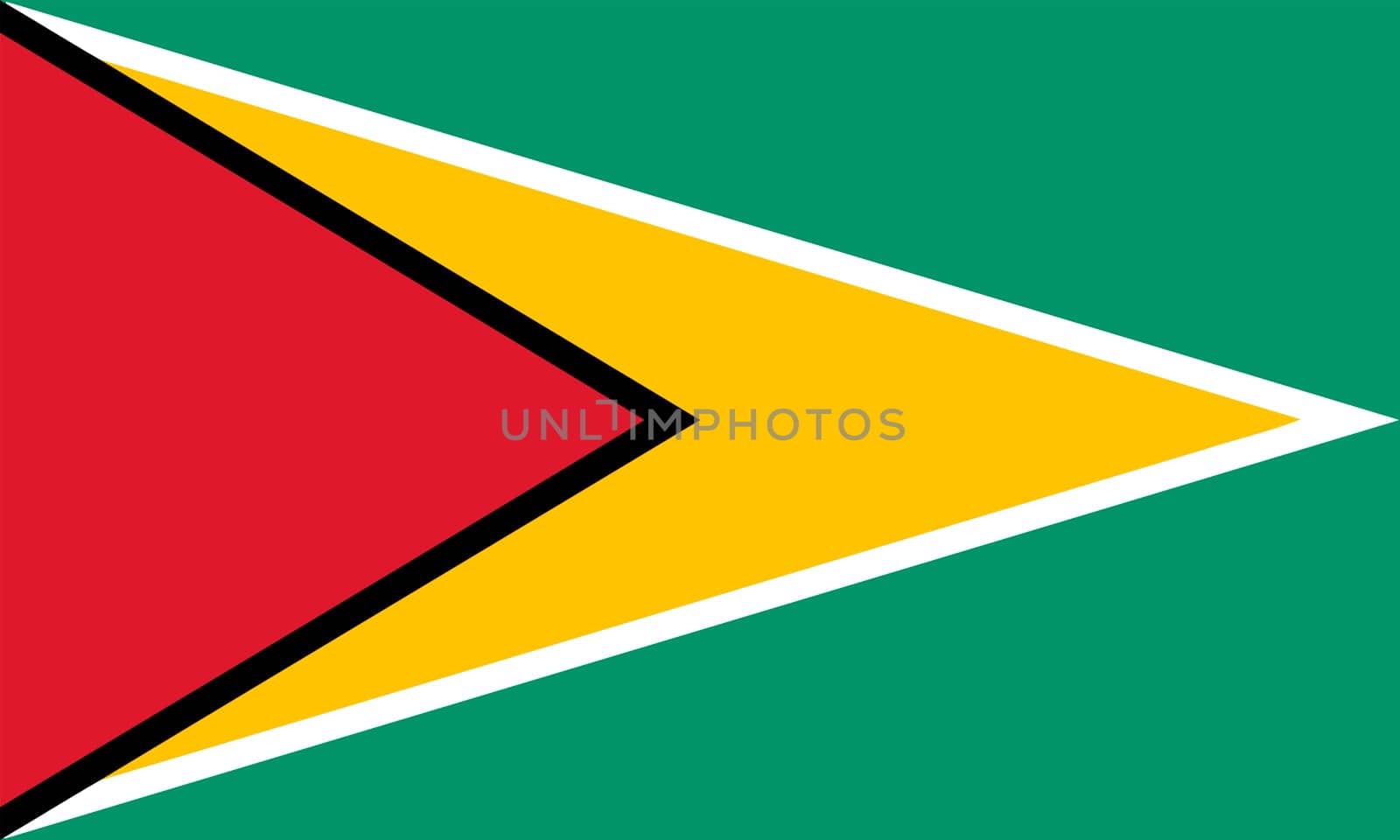 Flag of Guyana