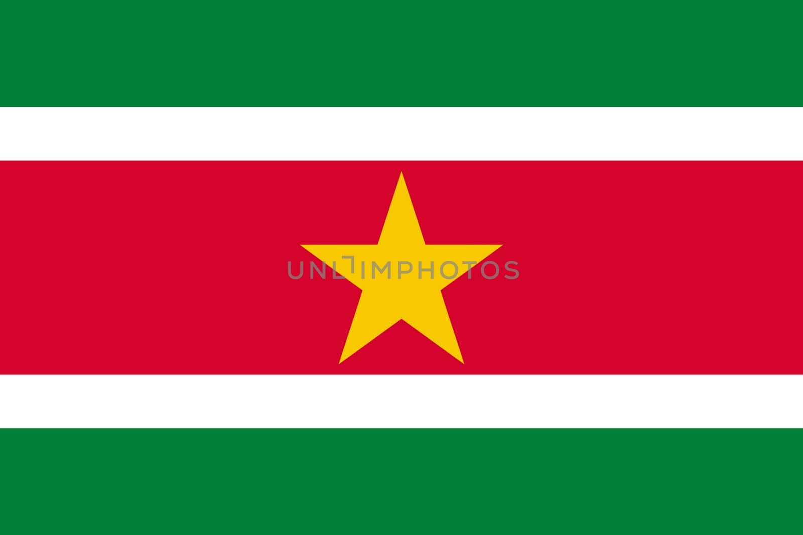 High detailed vector flag of Suriname