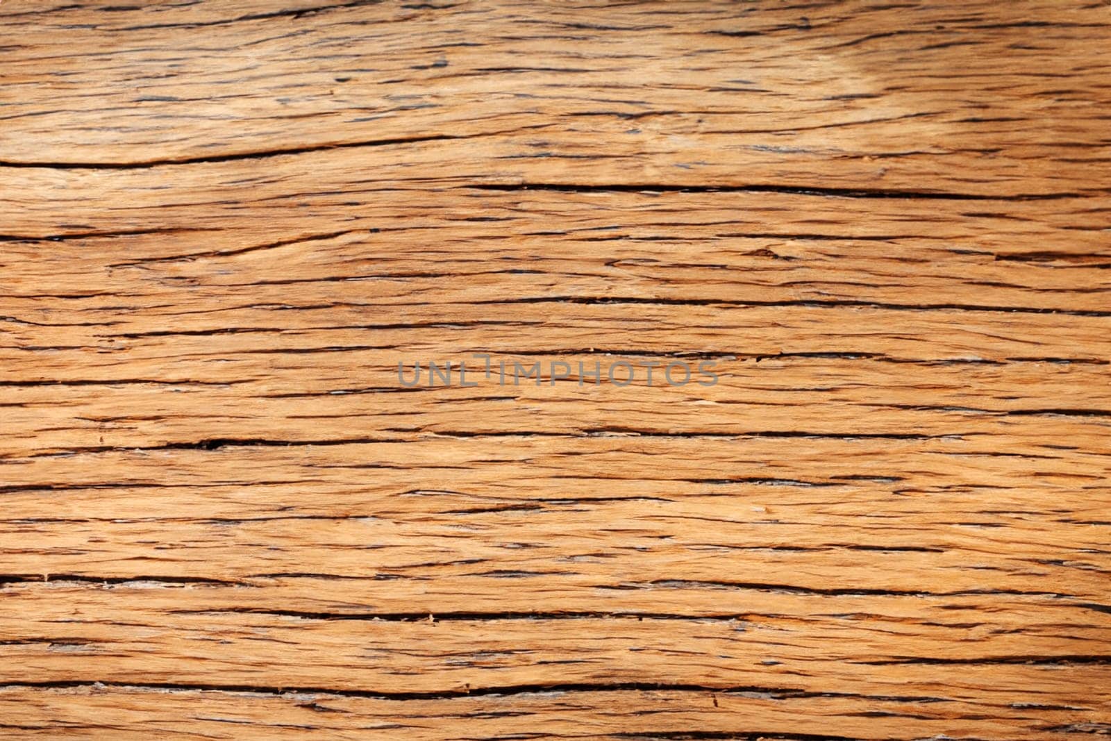 Image of wooden surface texture. Texture of wood background