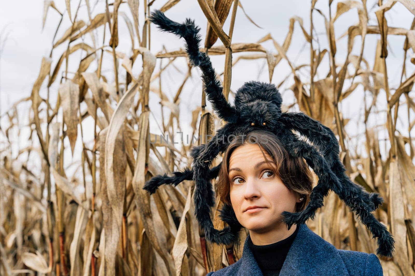 Portrait of a woman in a cornfield with a huge toy furry spider on her head. Halloween Party Decoration.