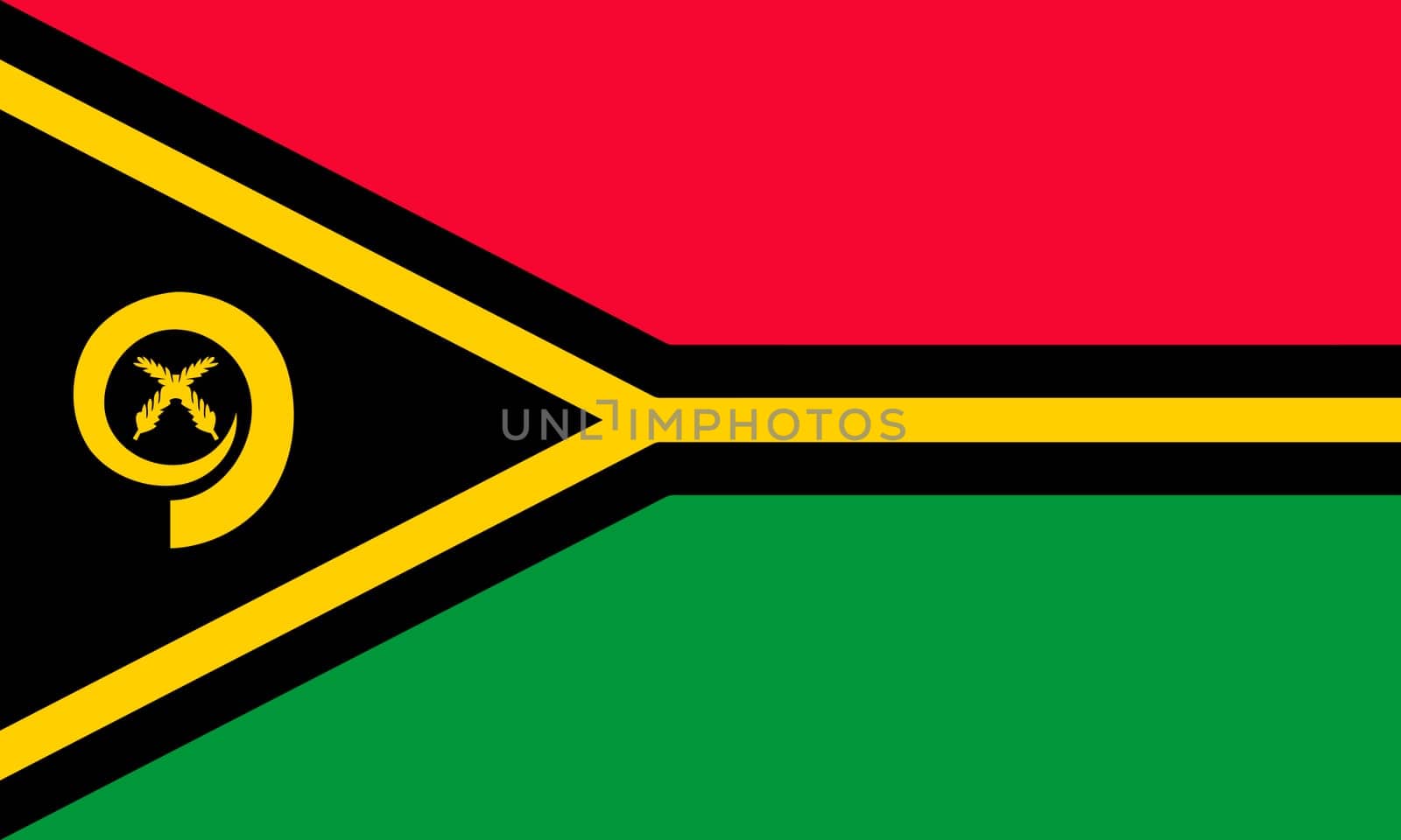 Vanuatu flag vector
