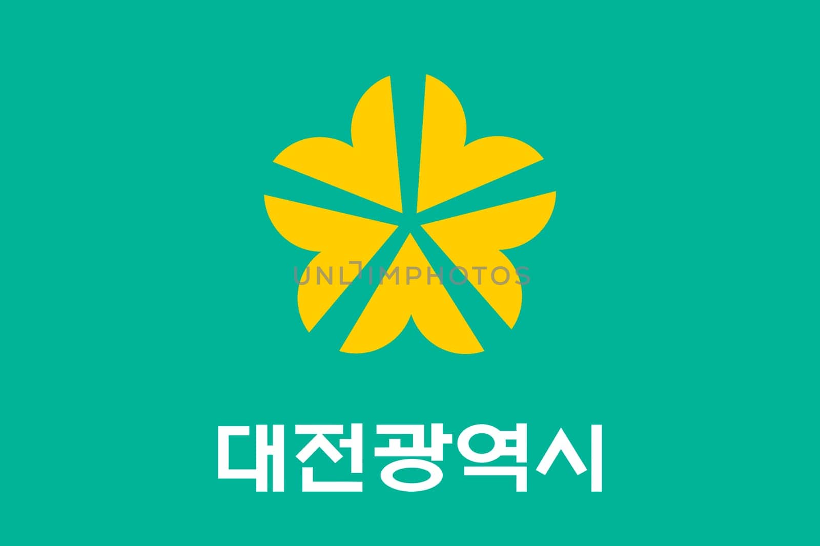 Daejeon Province in South Korea Flag Map