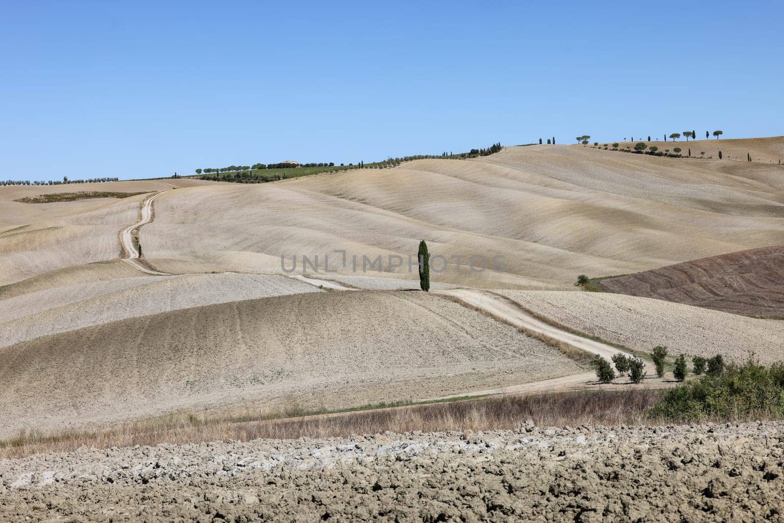 The rural landscape near San Quirico in Tuscany. Italy