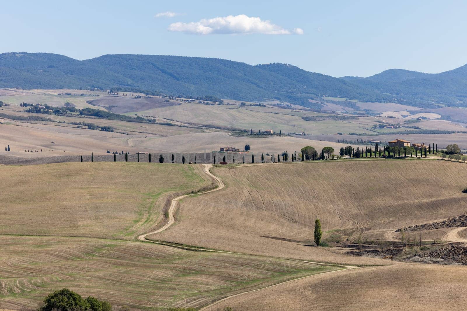 The rural landscape near Pienza in Tuscany. Italy