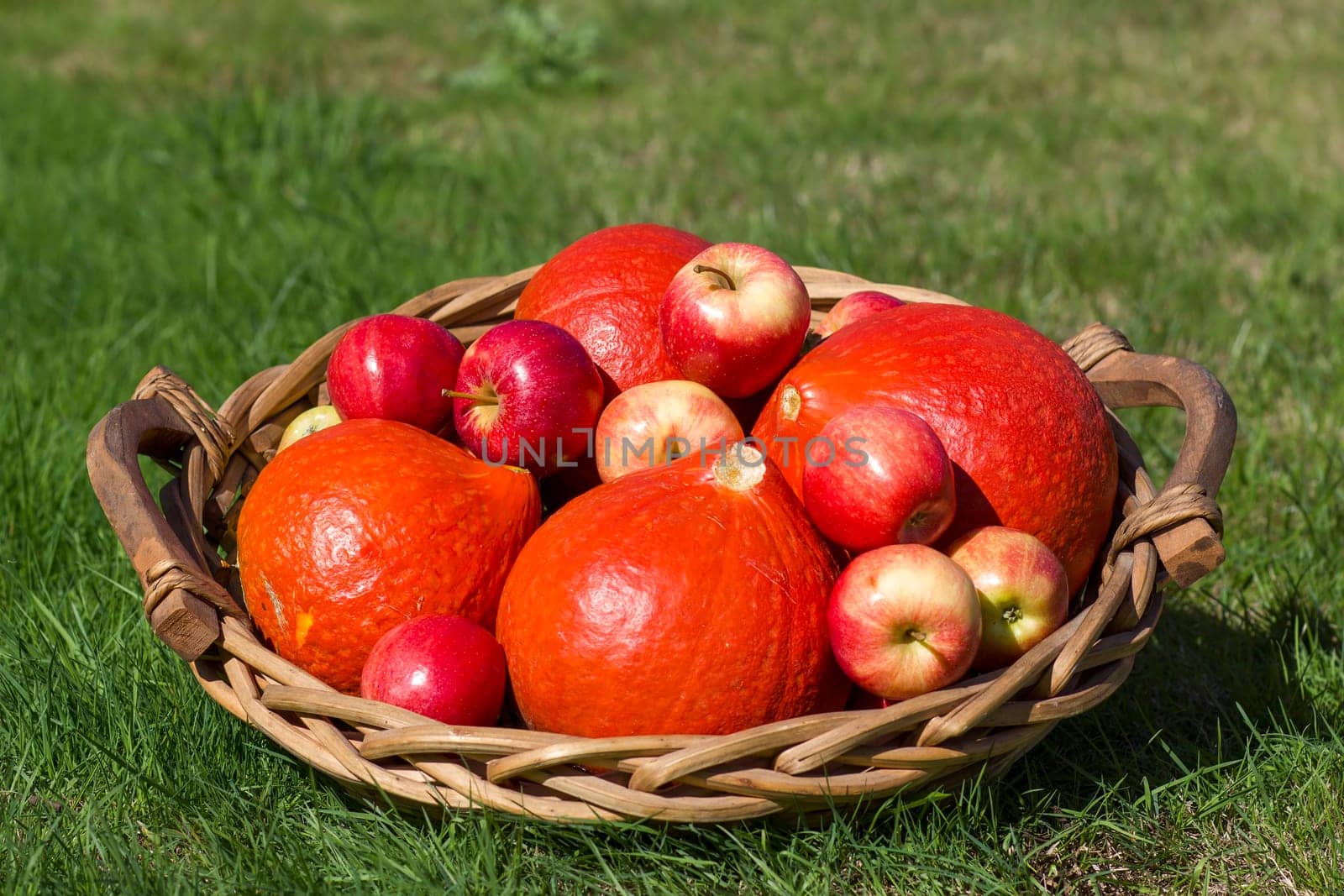 pumpkins and apples in a basket on the grass